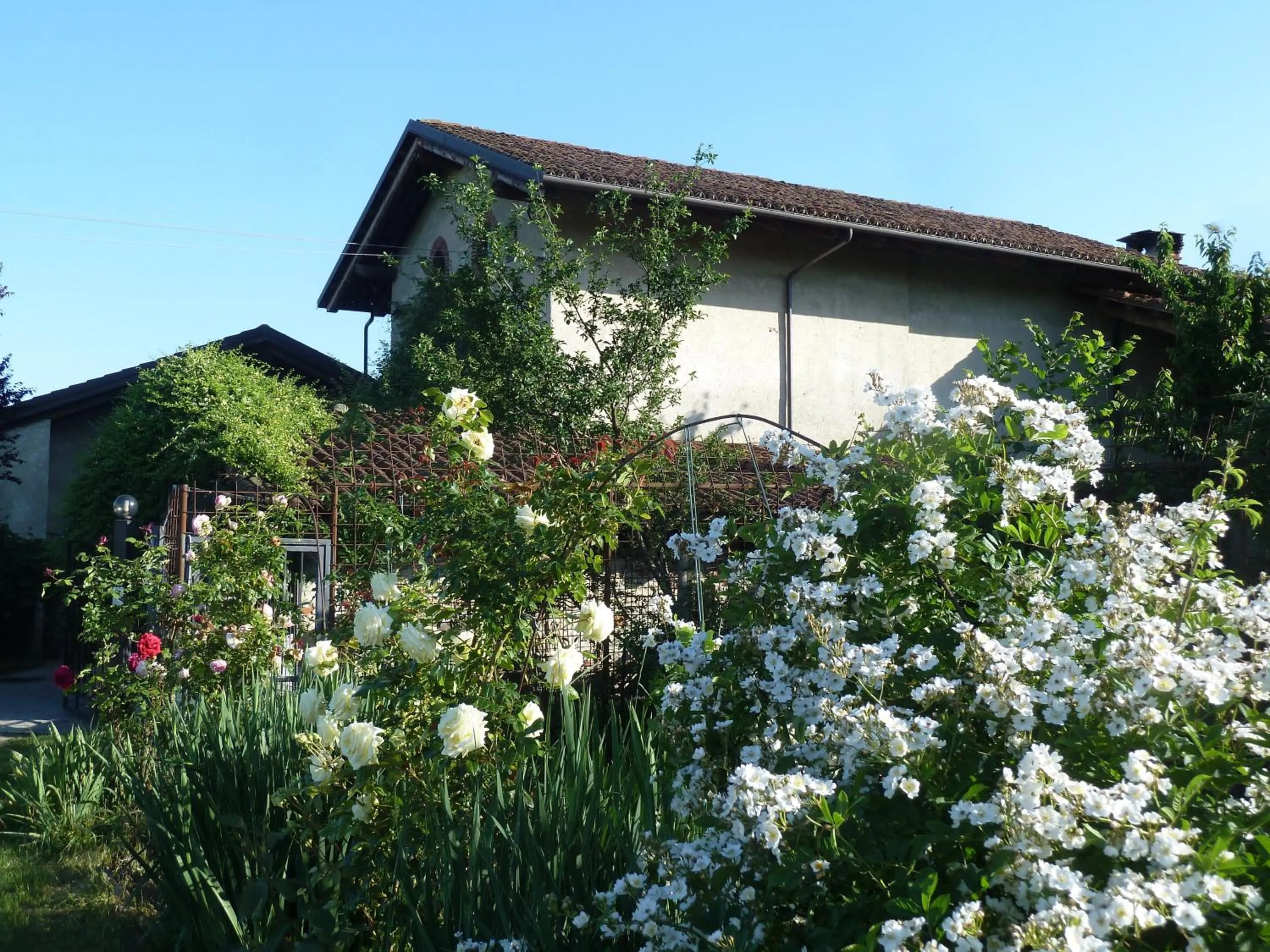 Garden view in B&B Cascina Marie