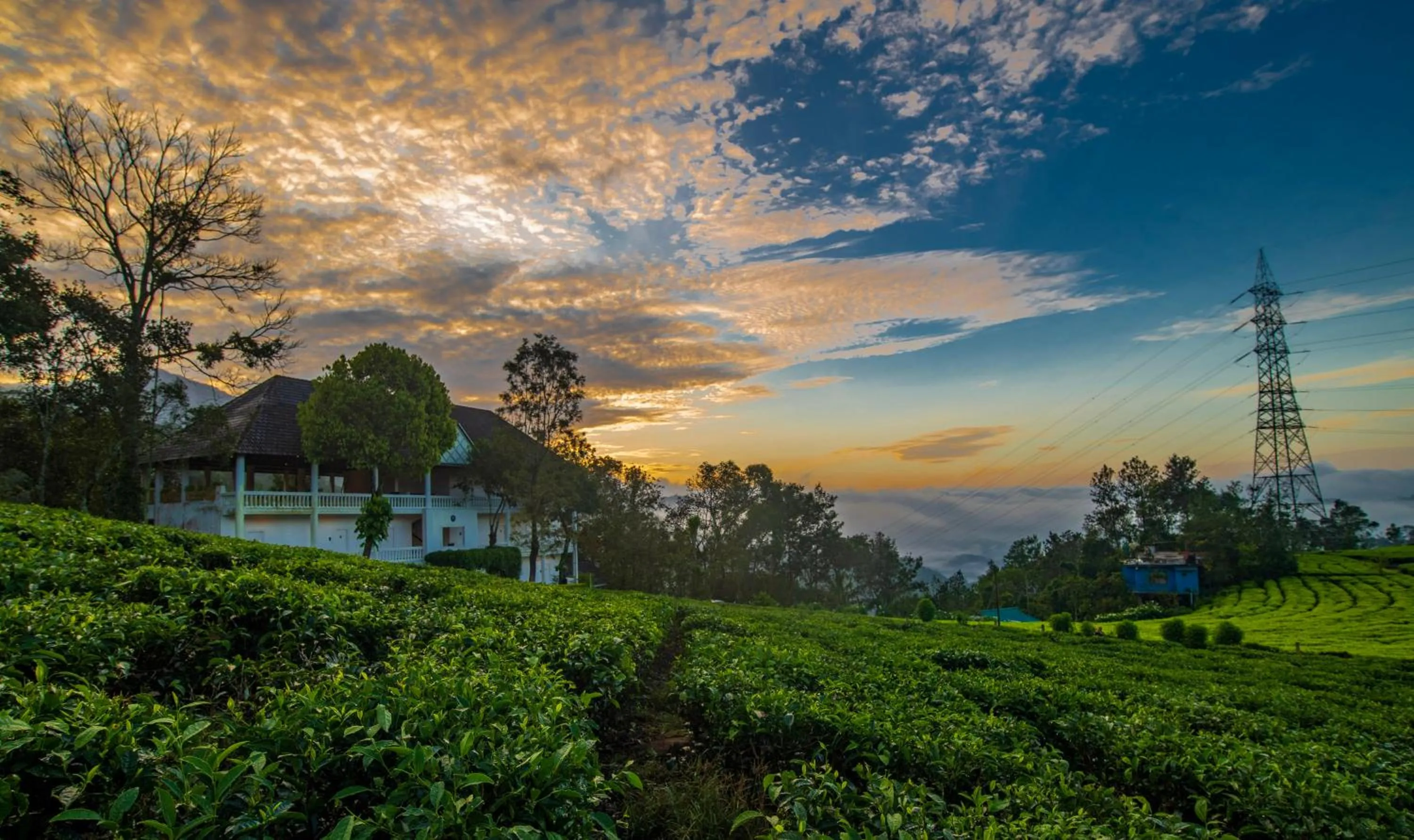 Property building in Tea Harvester
