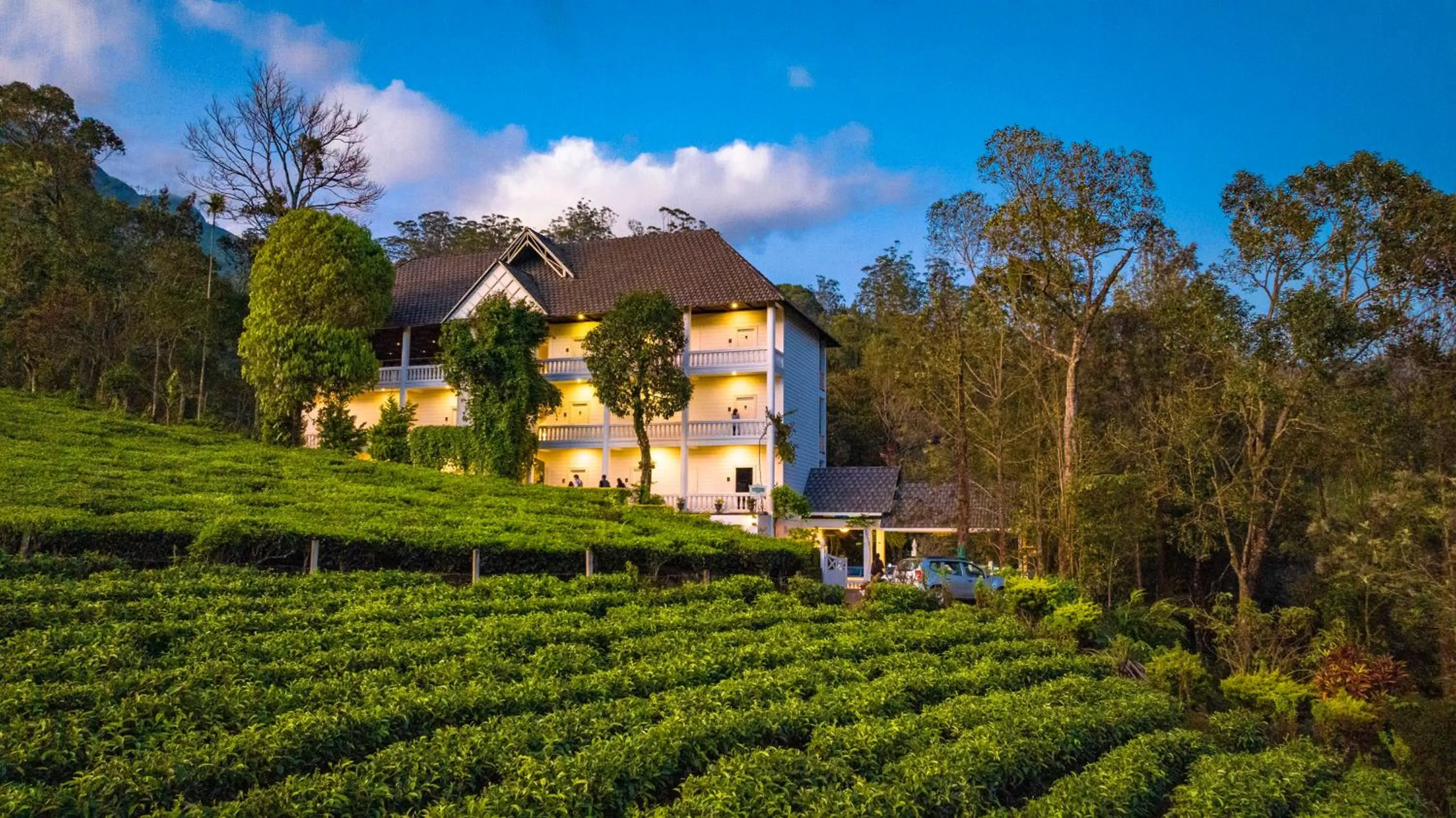 Property building in Tea Harvester
