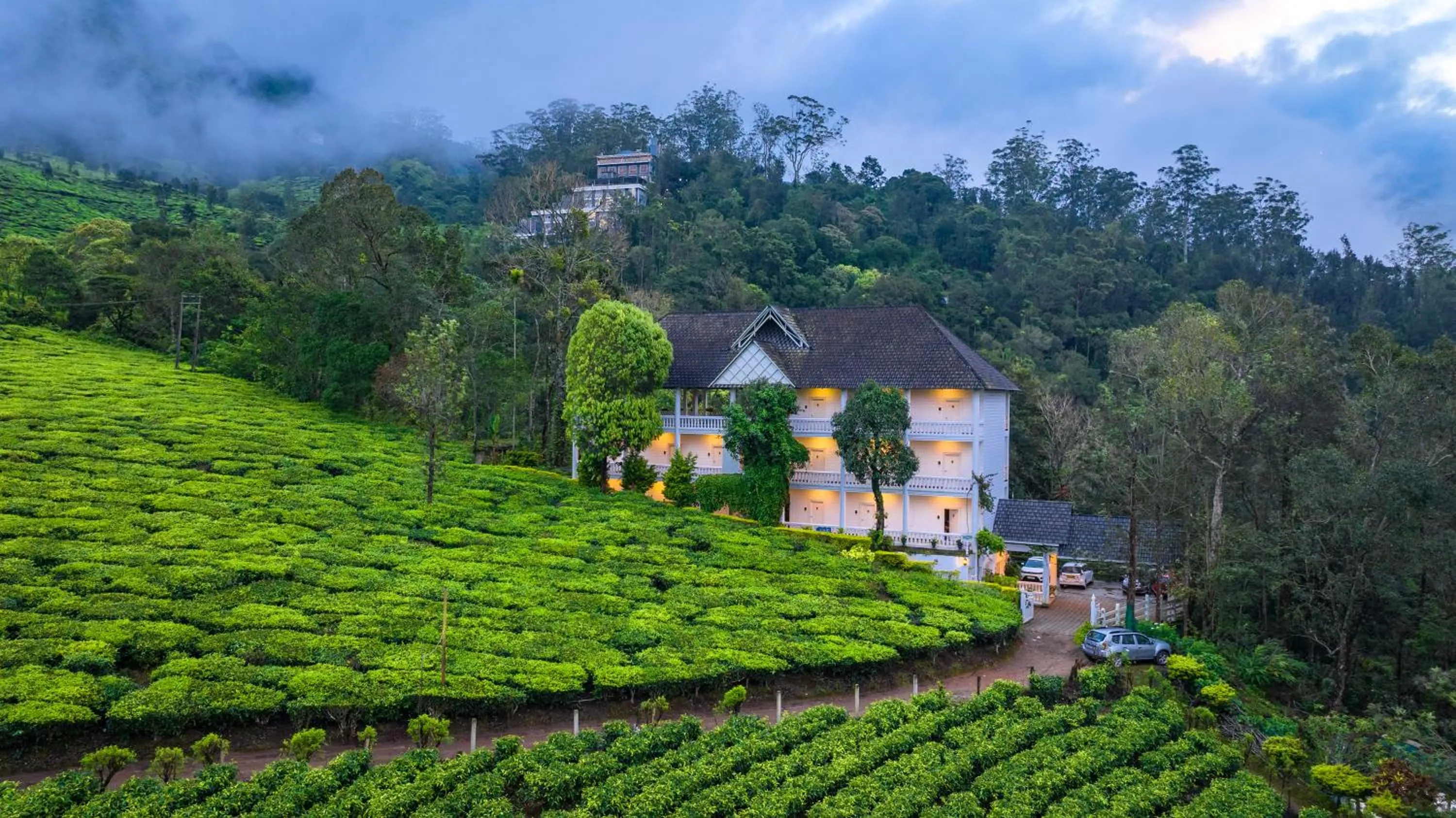 Property building in Tea Harvester