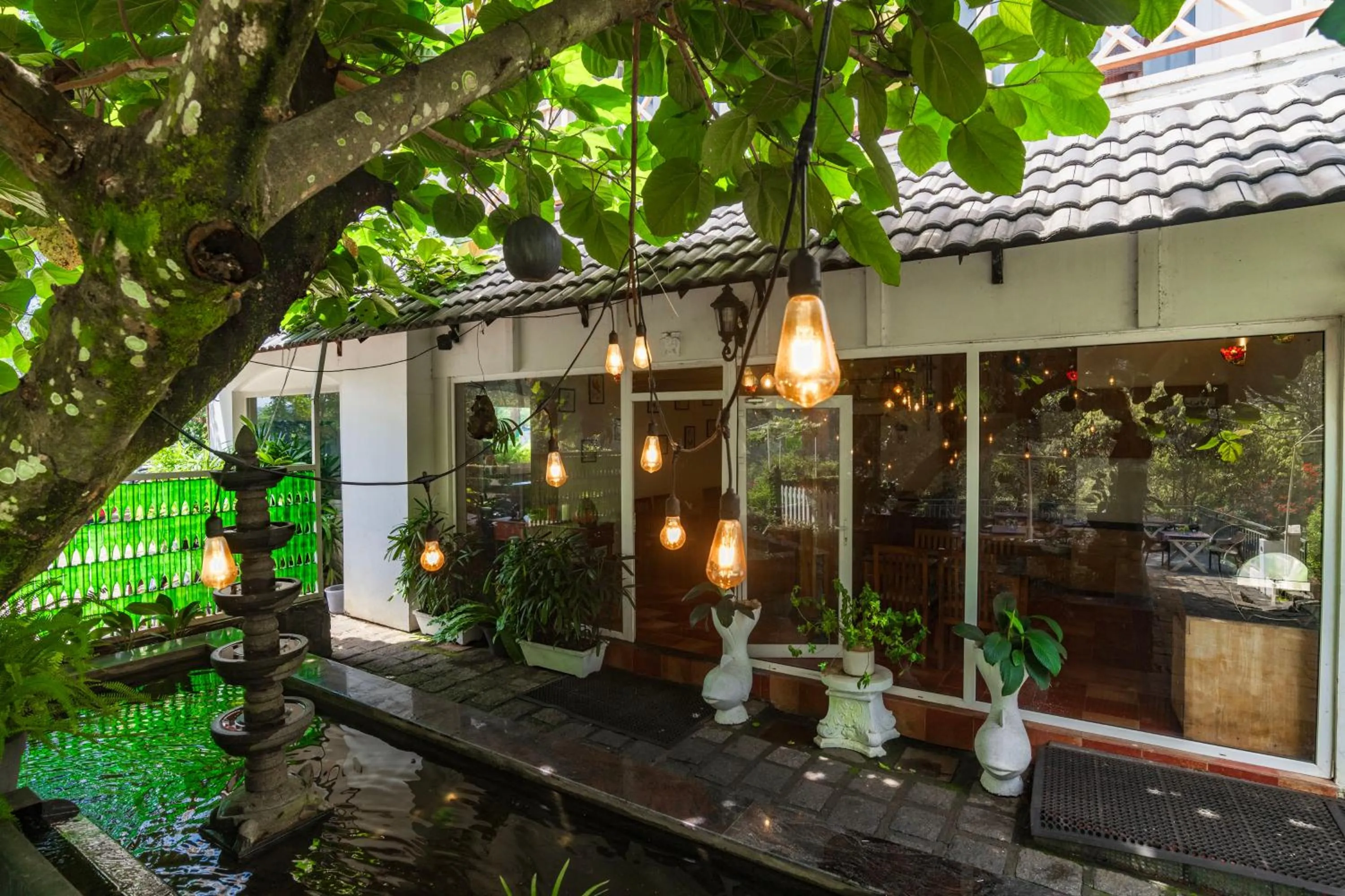 Garden in Tea Harvester