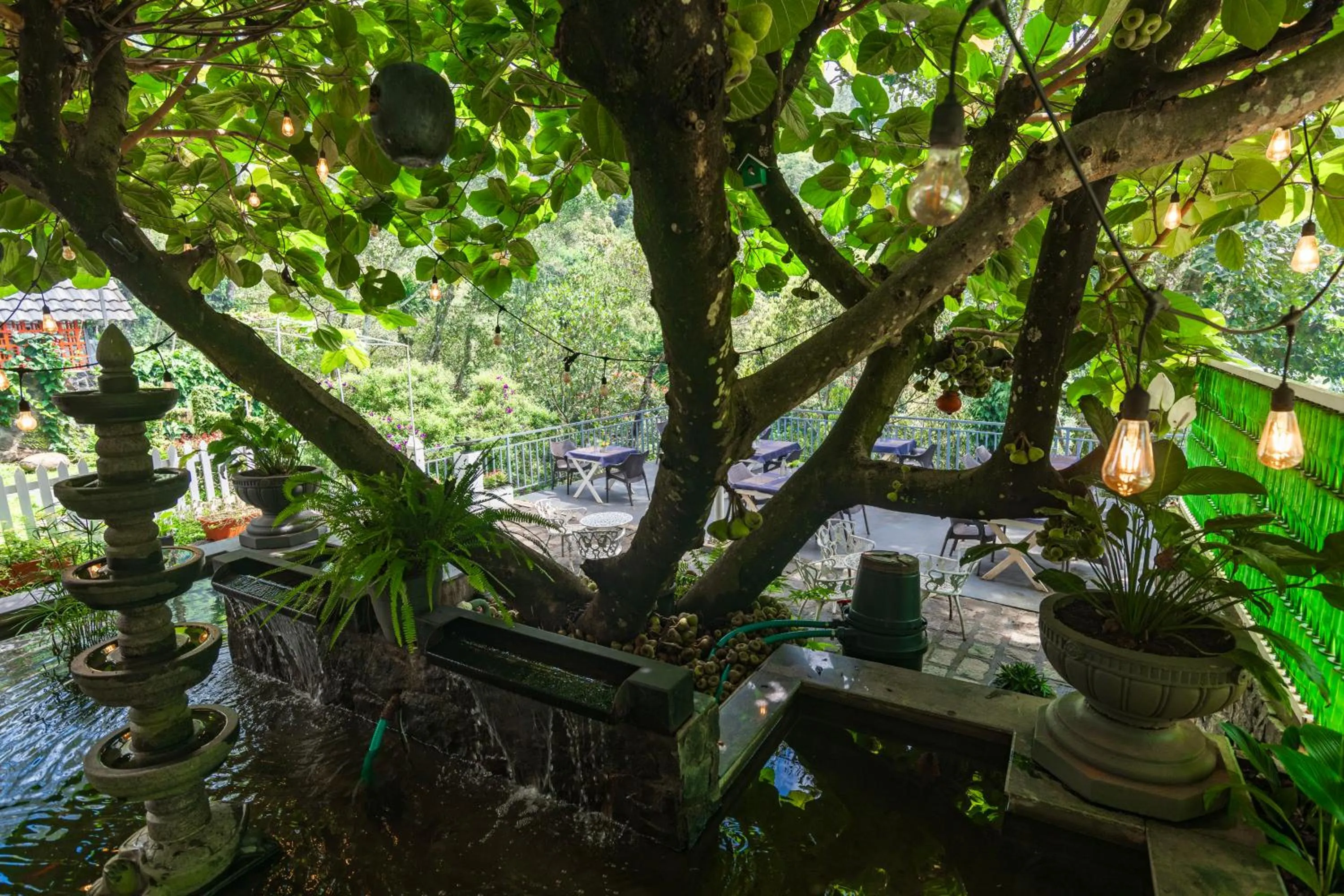 Day in Tea Harvester