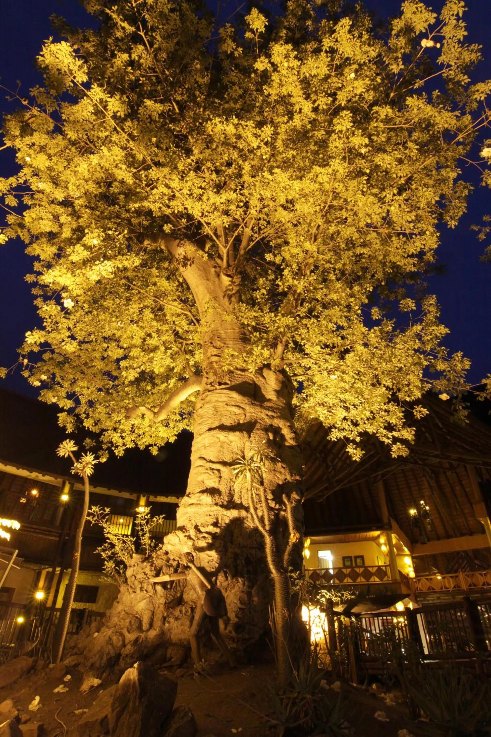 Patio in Cresta Mowana Safari Resort & Spa