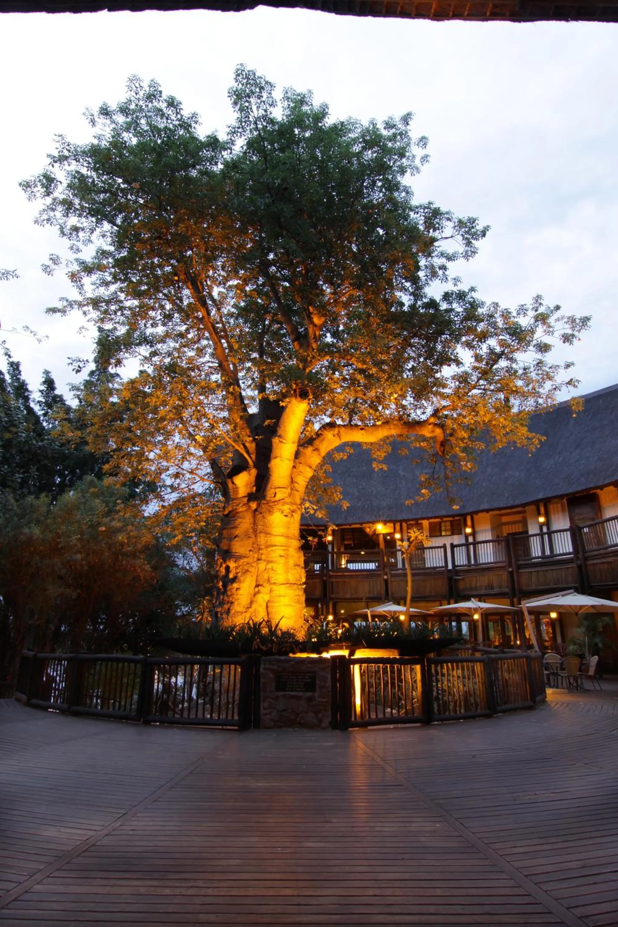 Patio in Cresta Mowana Safari Resort & Spa