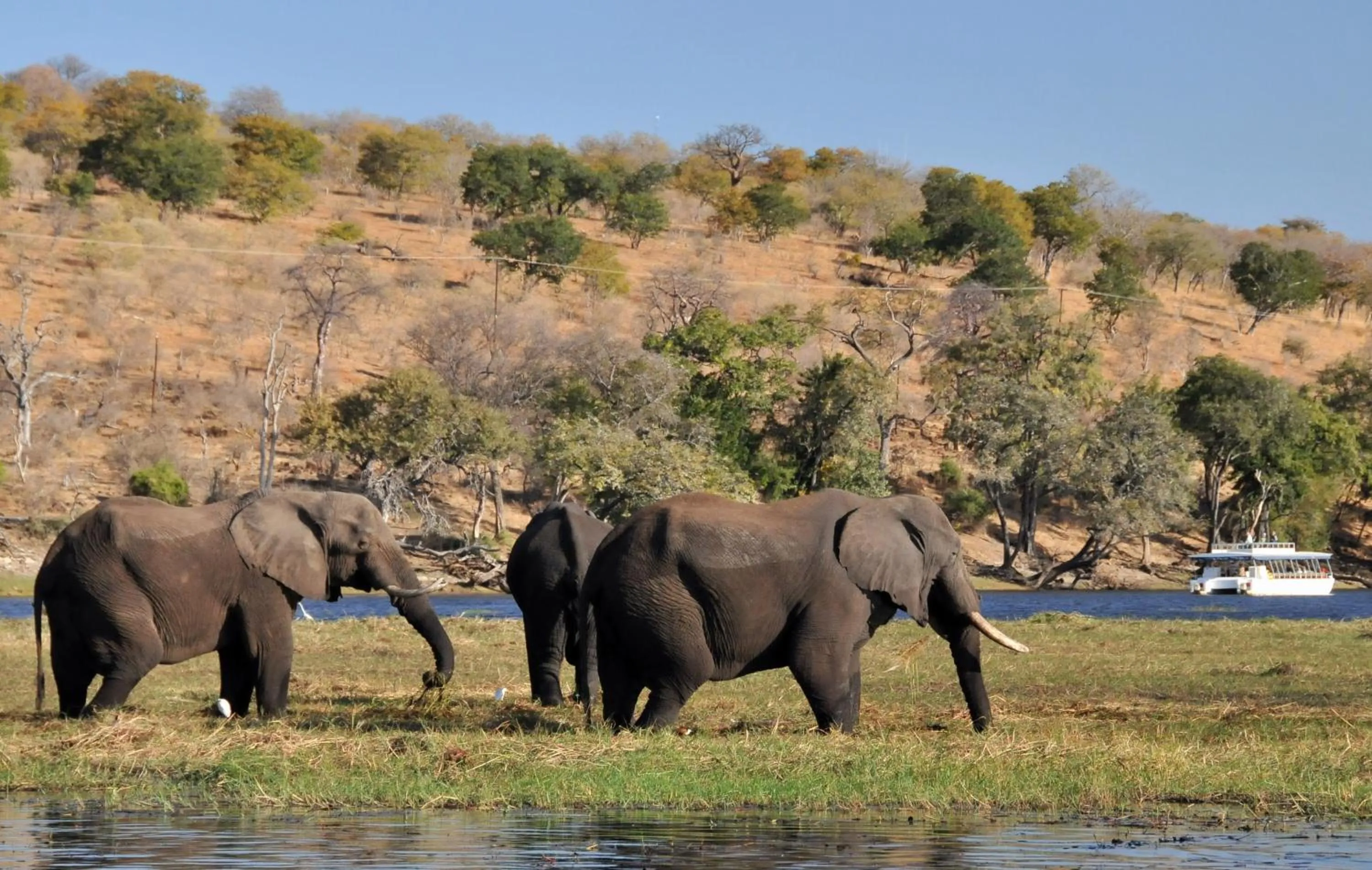 Natural landscape in Cresta Mowana Safari Resort & Spa