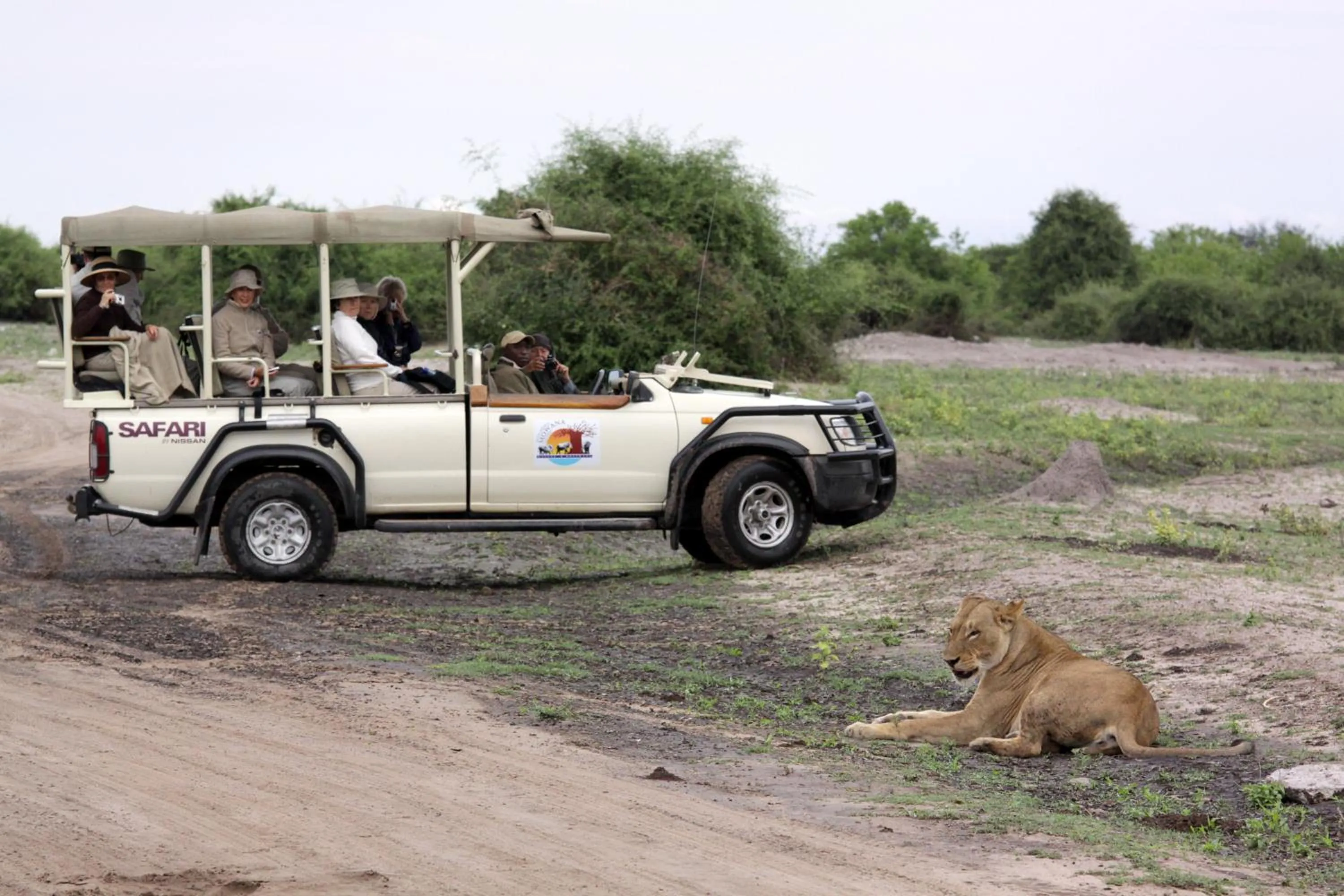 Activities in Cresta Mowana Safari Resort & Spa