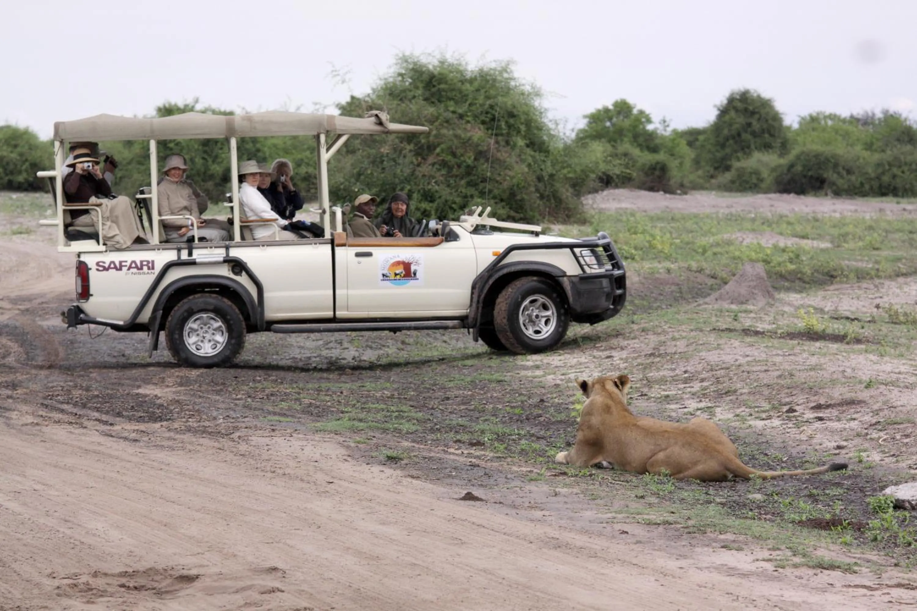 Activities in Cresta Mowana Safari Resort & Spa