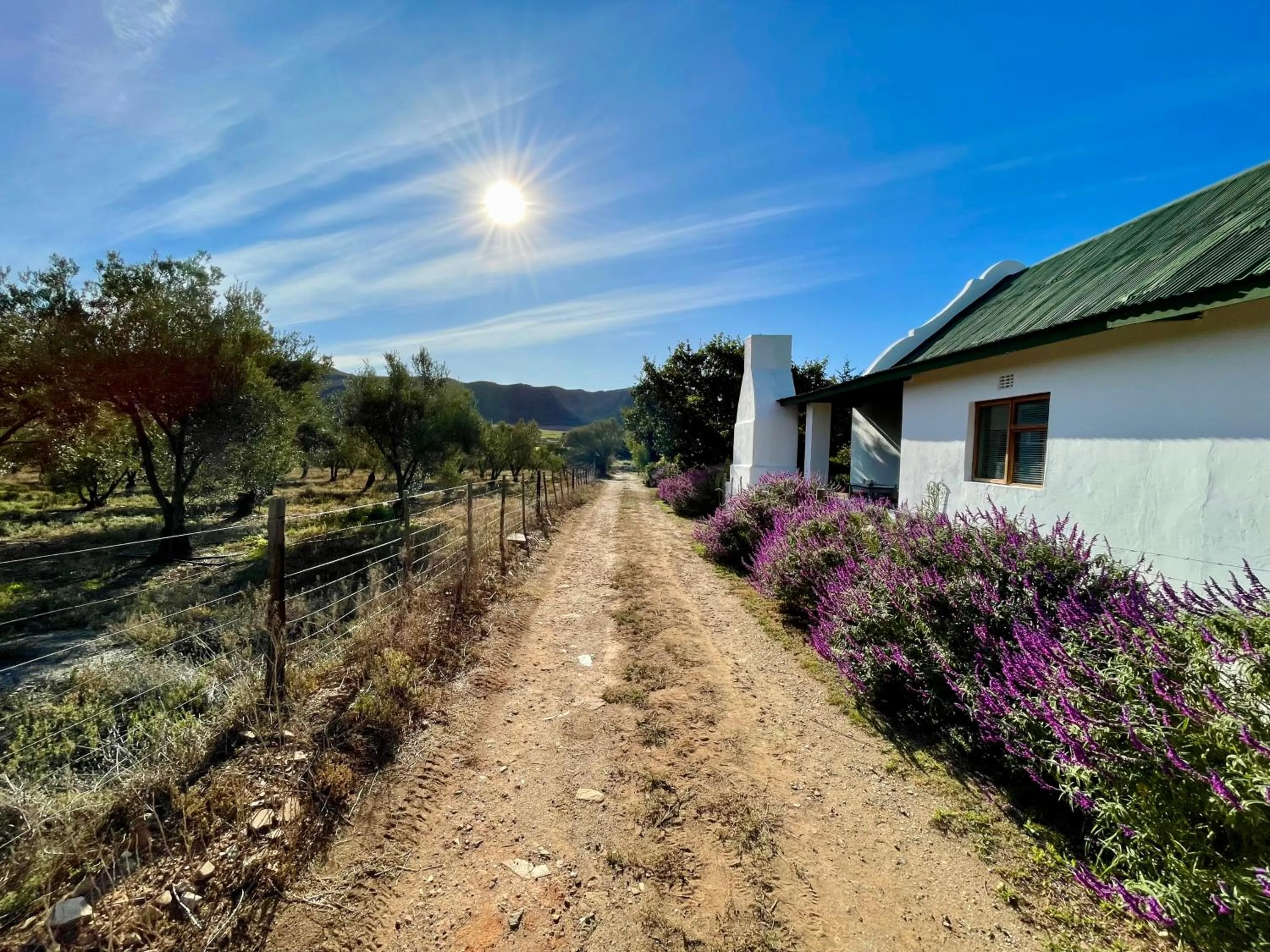 Property building in Blue Cow Barn - Boutique Farm