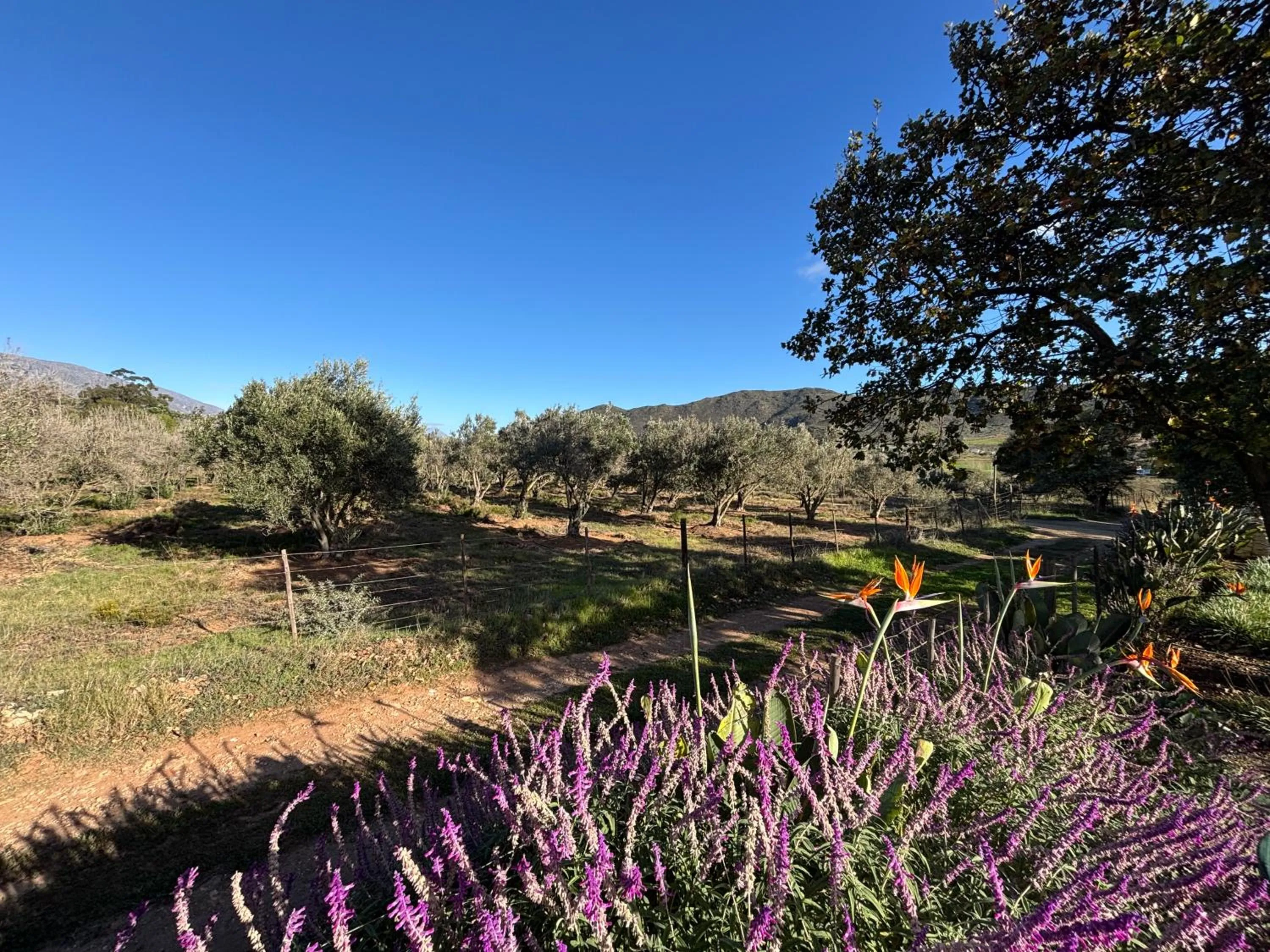 Spring in Blue Cow Barn - Boutique Farm