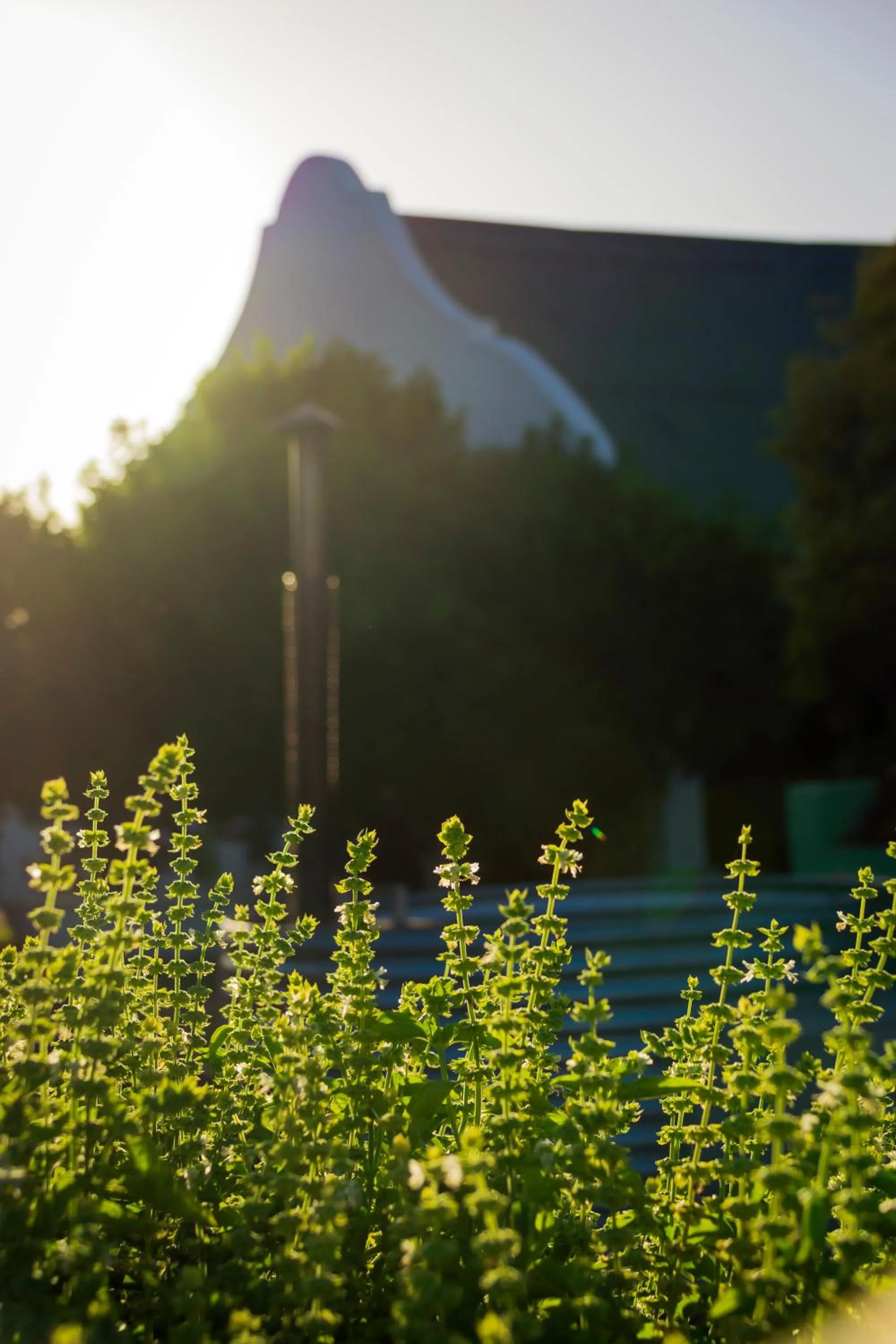View (from property/room) in Blue Cow Barn - Boutique Farm