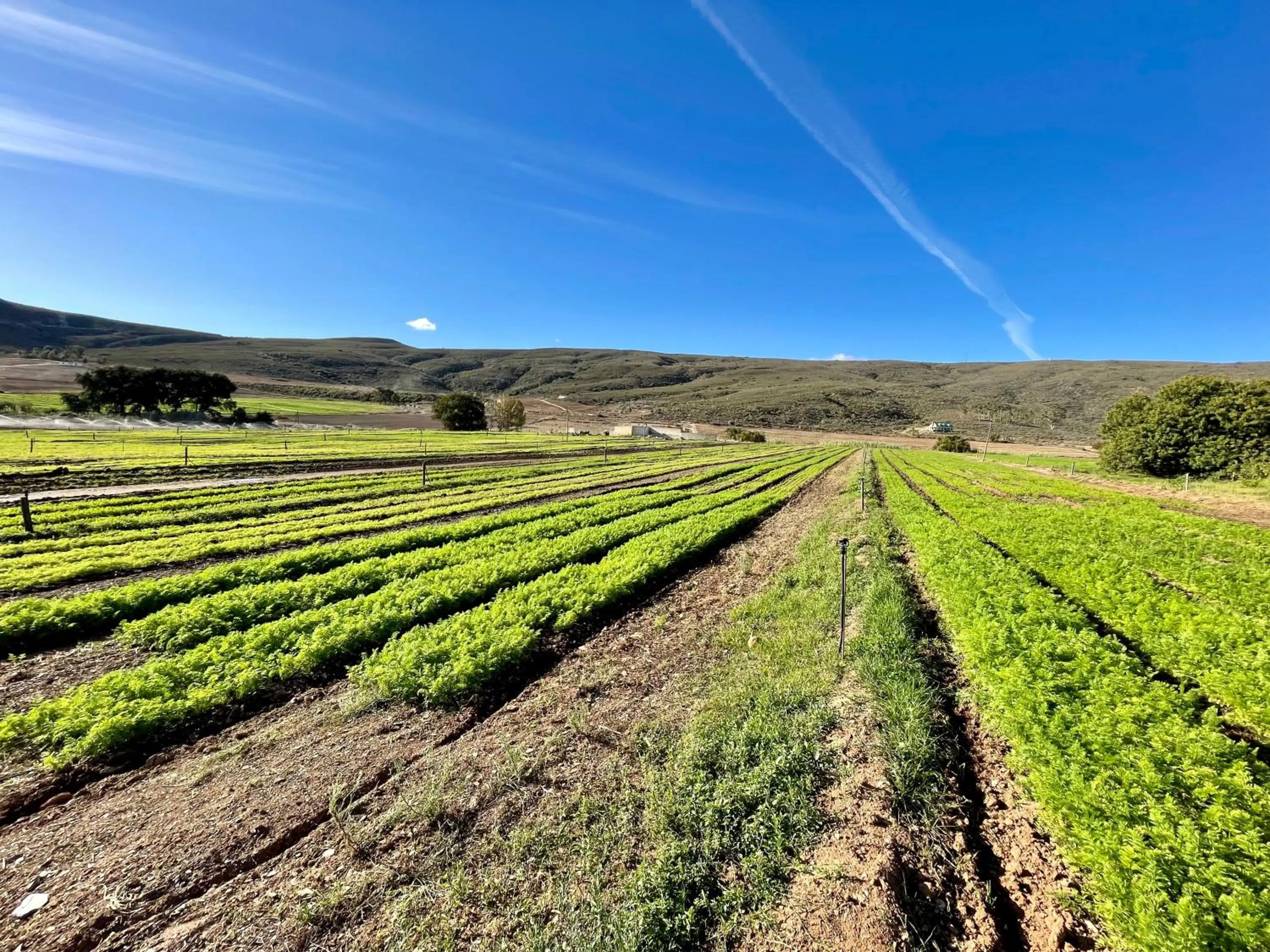 Natural landscape in Blue Cow Barn - Boutique Farm