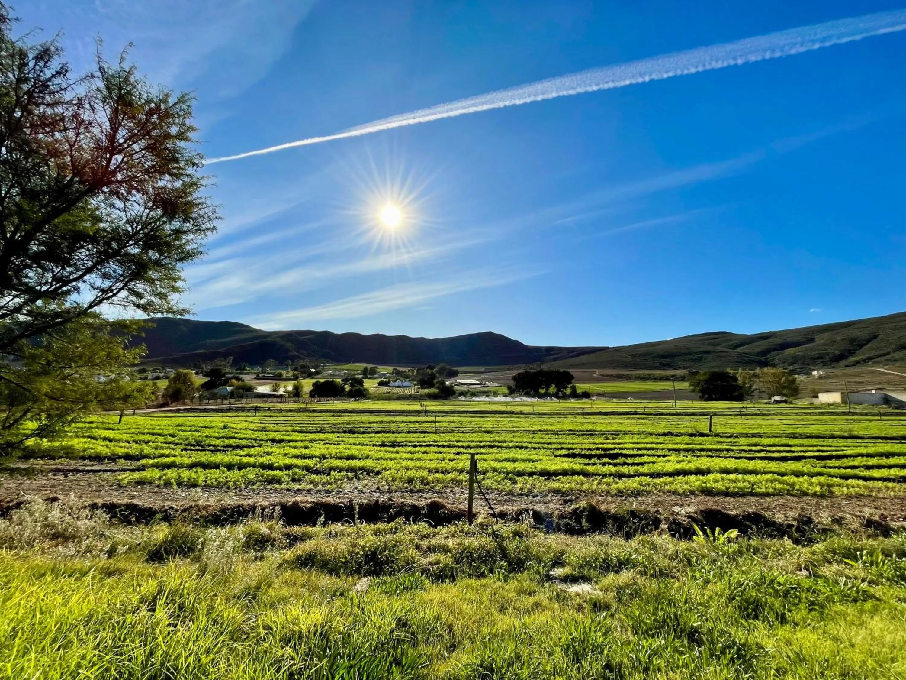 Neighbourhood in Blue Cow Barn - Boutique Farm