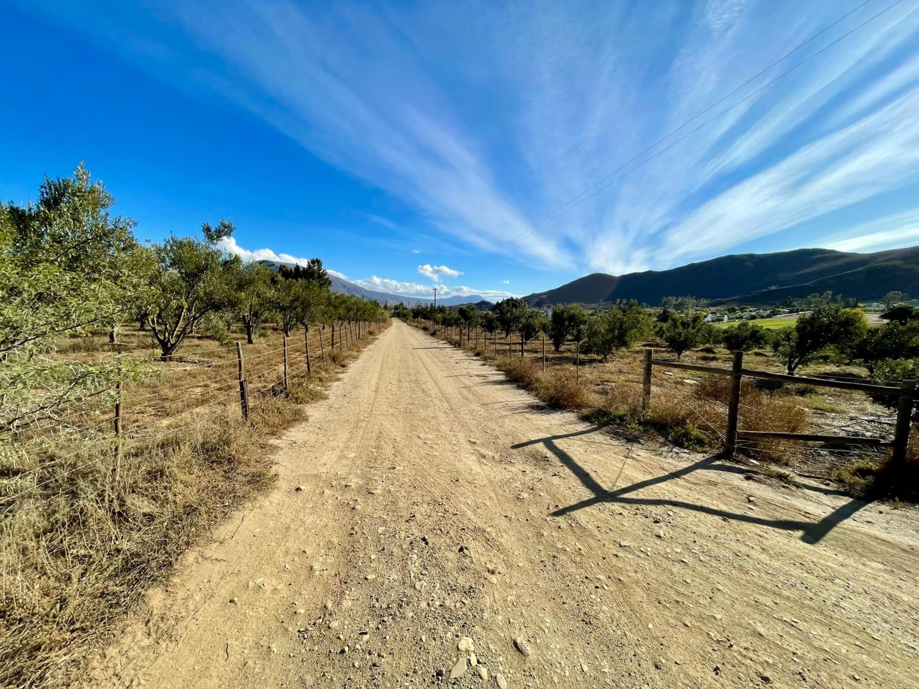 Natural landscape in Blue Cow Barn - Boutique Farm