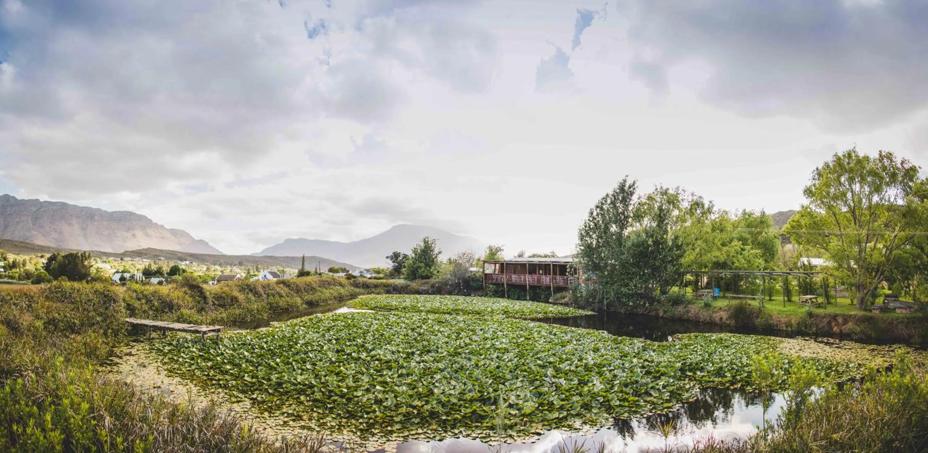Natural landscape in Blue Cow Barn - Boutique Farm