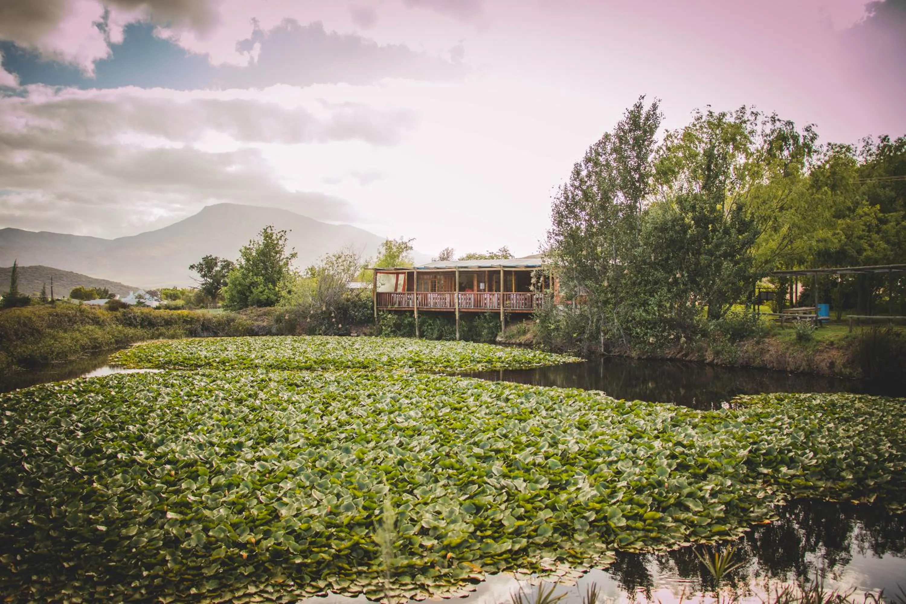 Property building in Blue Cow Barn - Boutique Farm