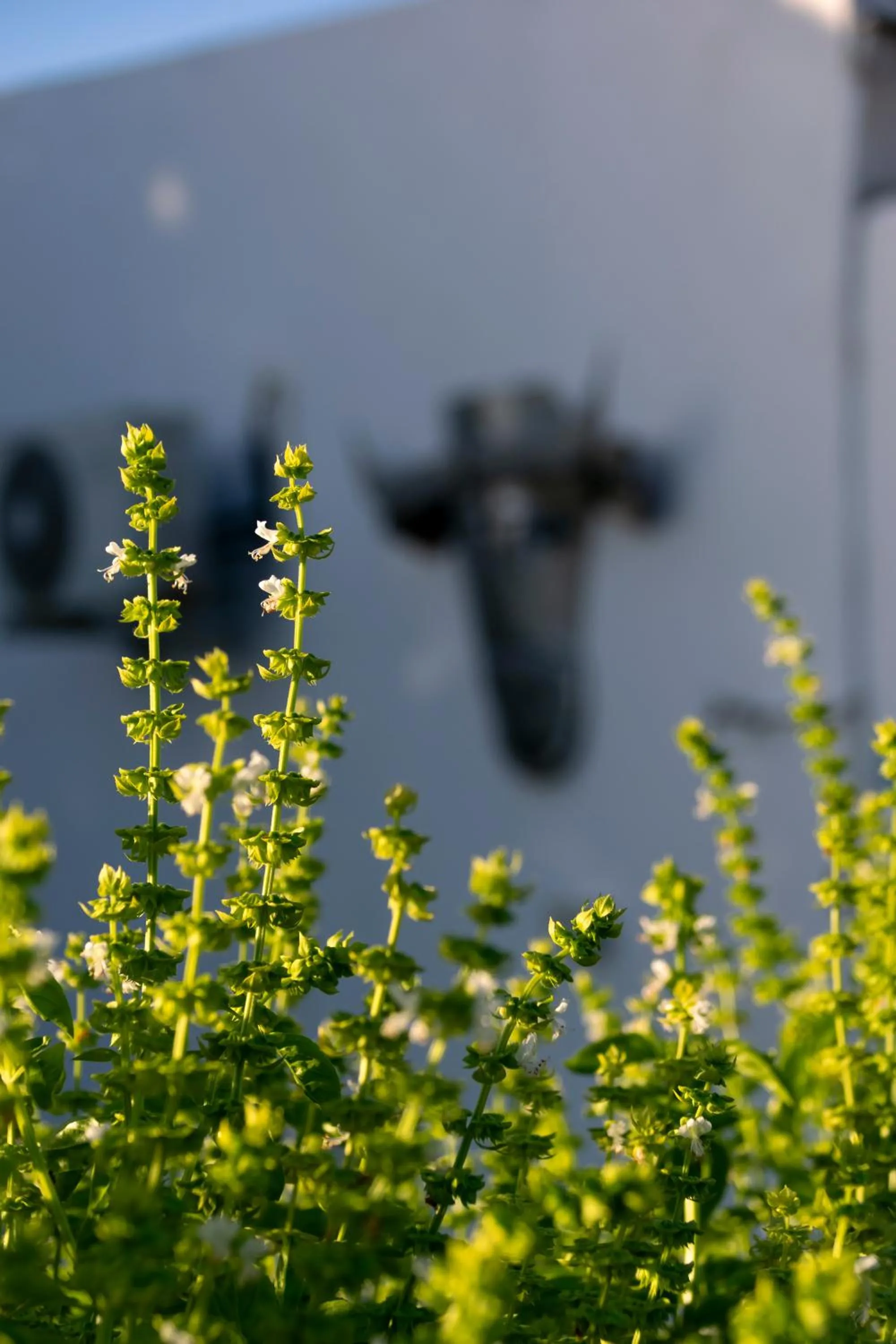 Property building in Blue Cow Barn - Boutique Farm