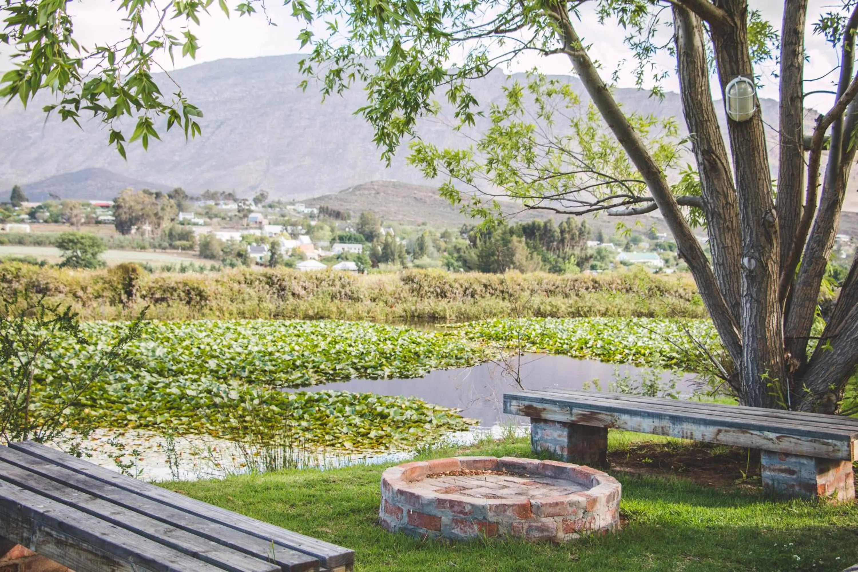 Natural landscape in Blue Cow Barn - Boutique Farm