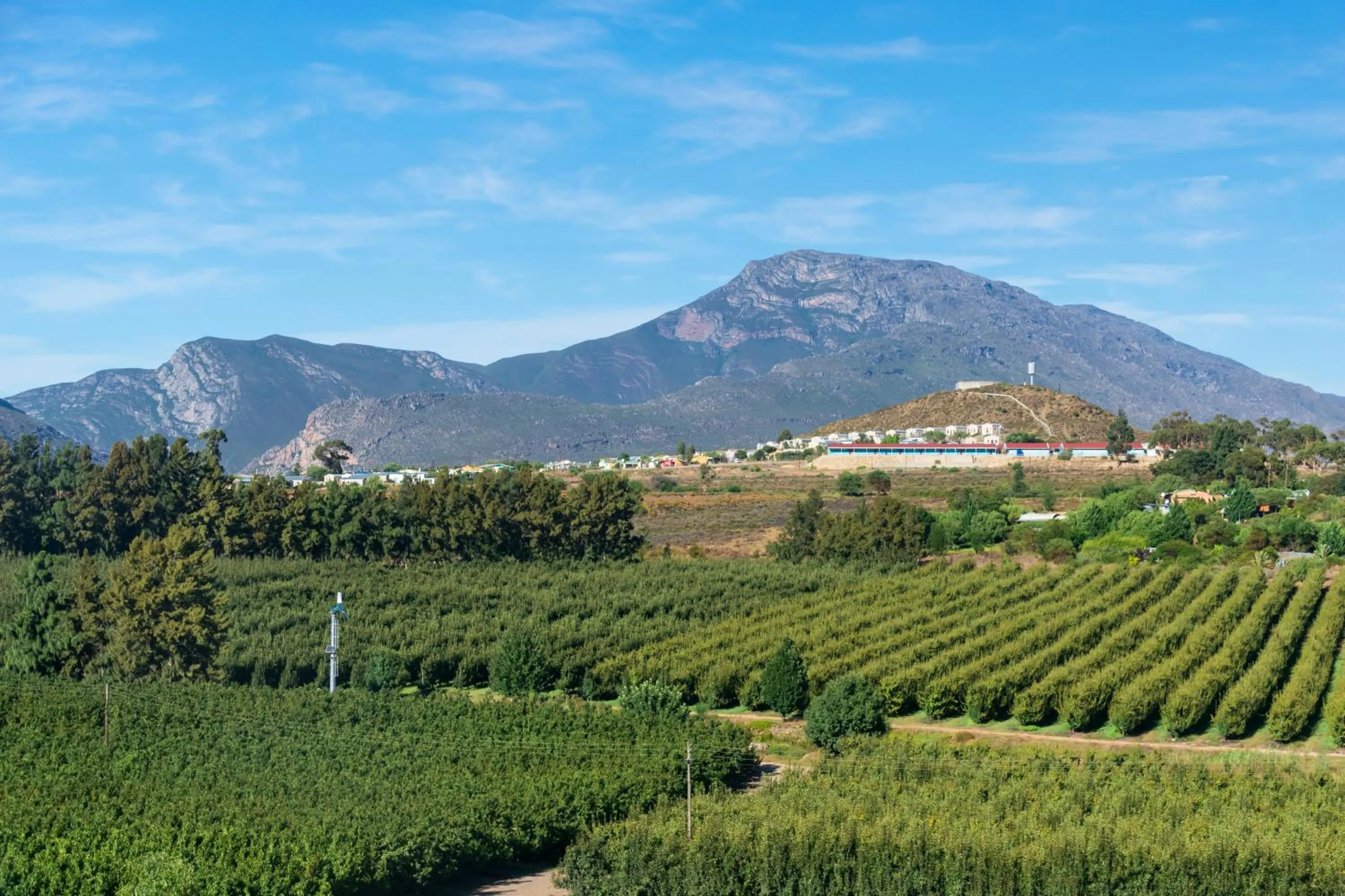 View (from property/room) in Blue Cow Barn - Boutique Farm
