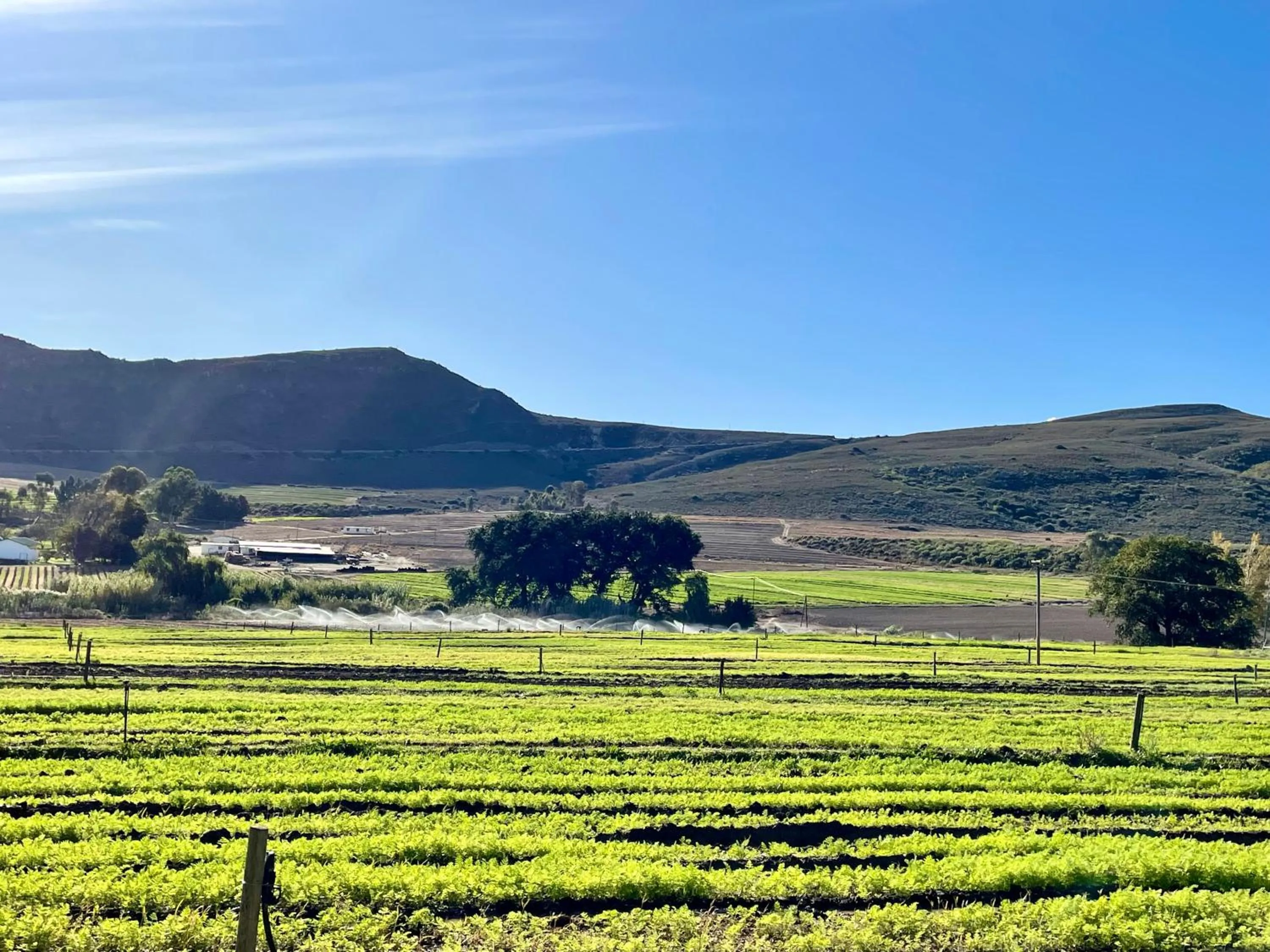Natural landscape in Blue Cow Barn - Boutique Farm