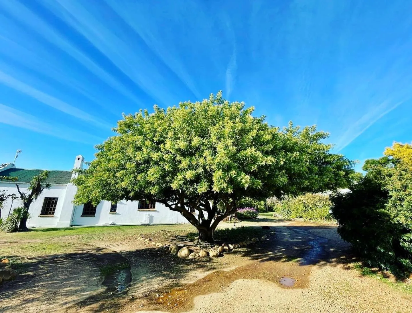 Garden in Blue Cow Barn - Boutique Farm