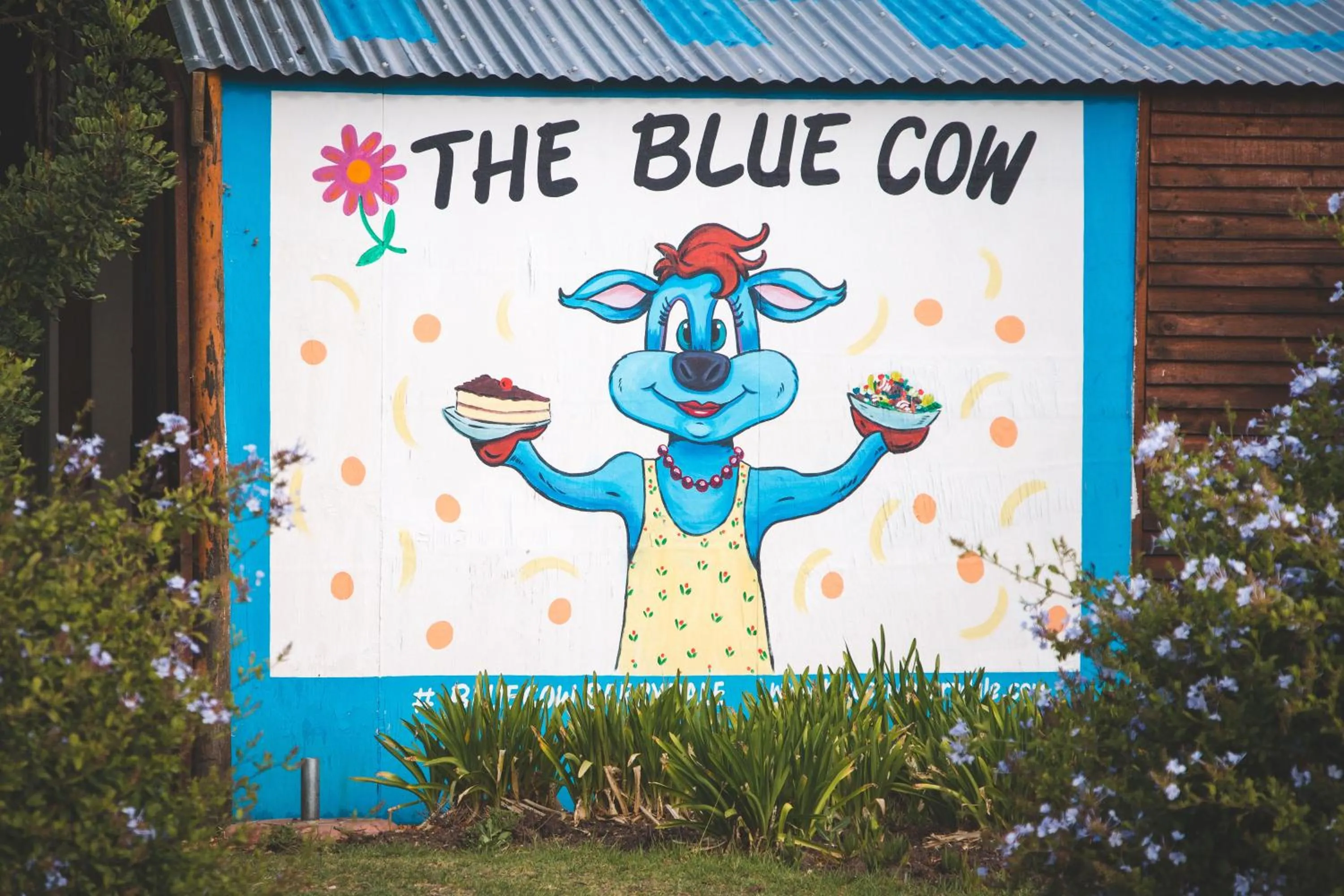 Property logo or sign in Blue Cow Barn - Boutique Farm