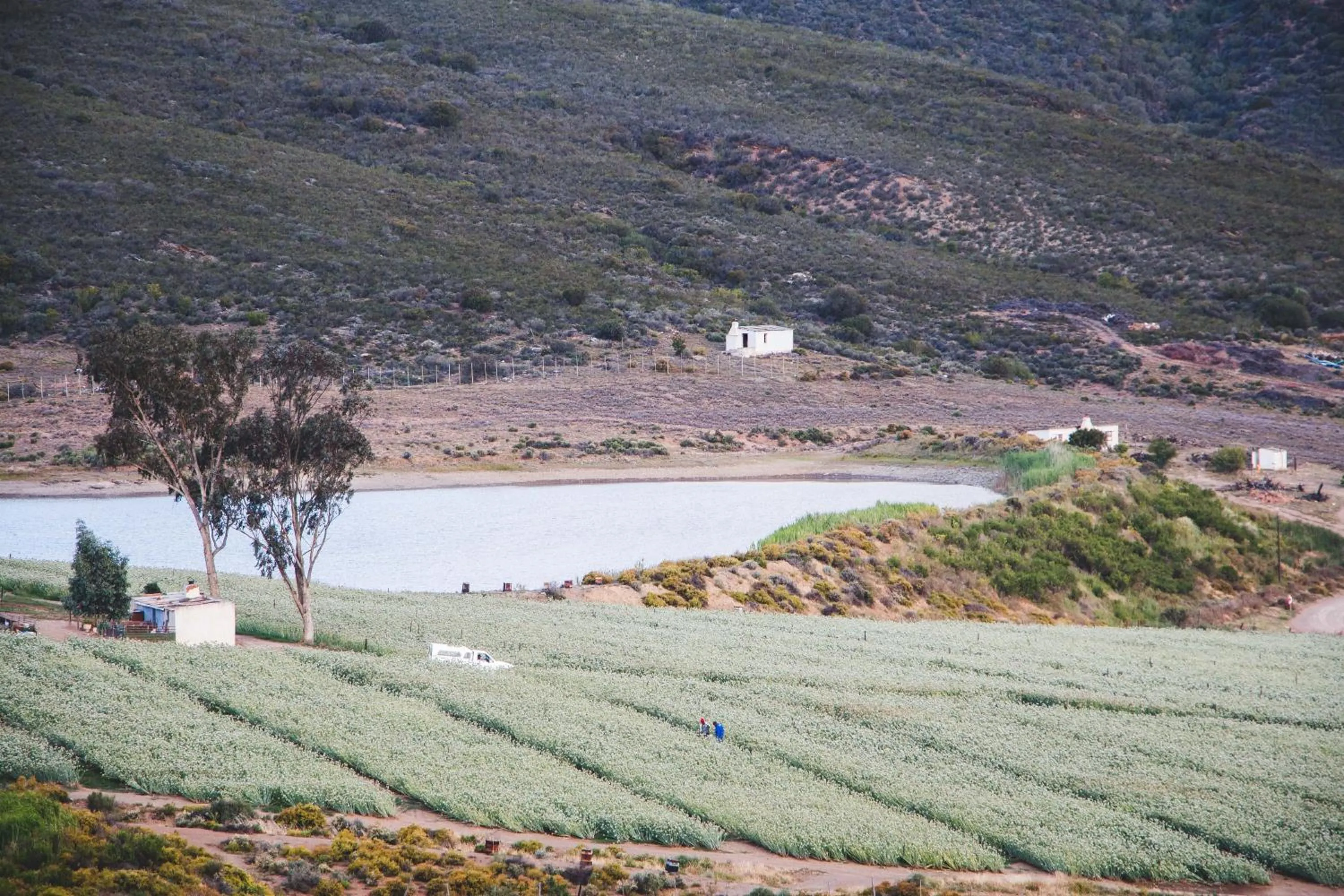 Natural landscape in Blue Cow Barn - Boutique Farm
