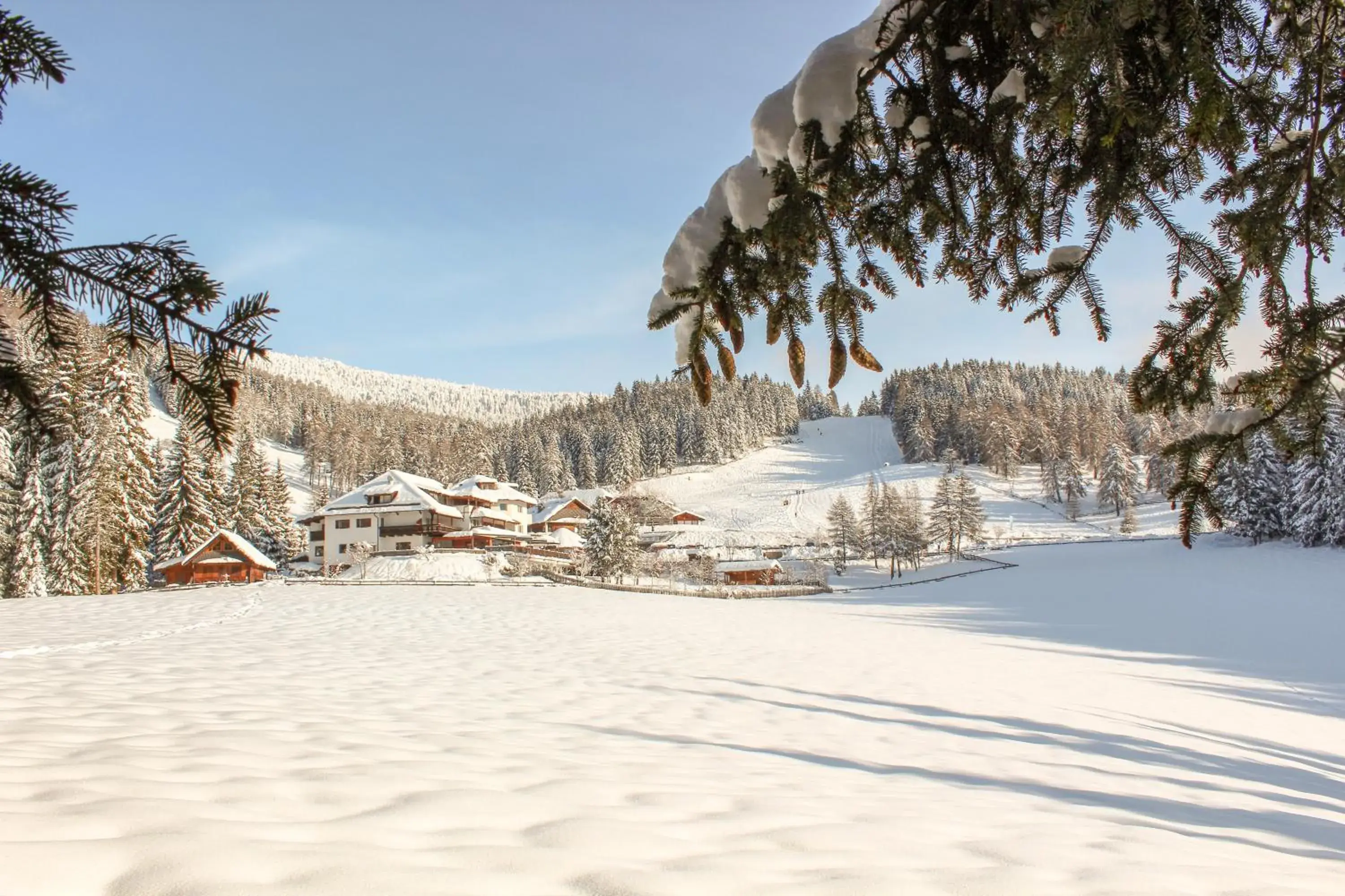 Berghotel zum Zirm Berghotel zum Zirm