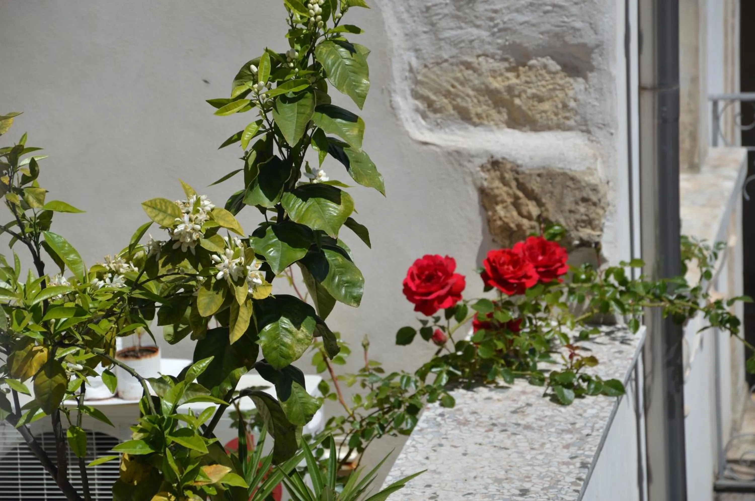 Balcony/Terrace in Pantalica Rooms Affittacamere Sortino Siracusa
