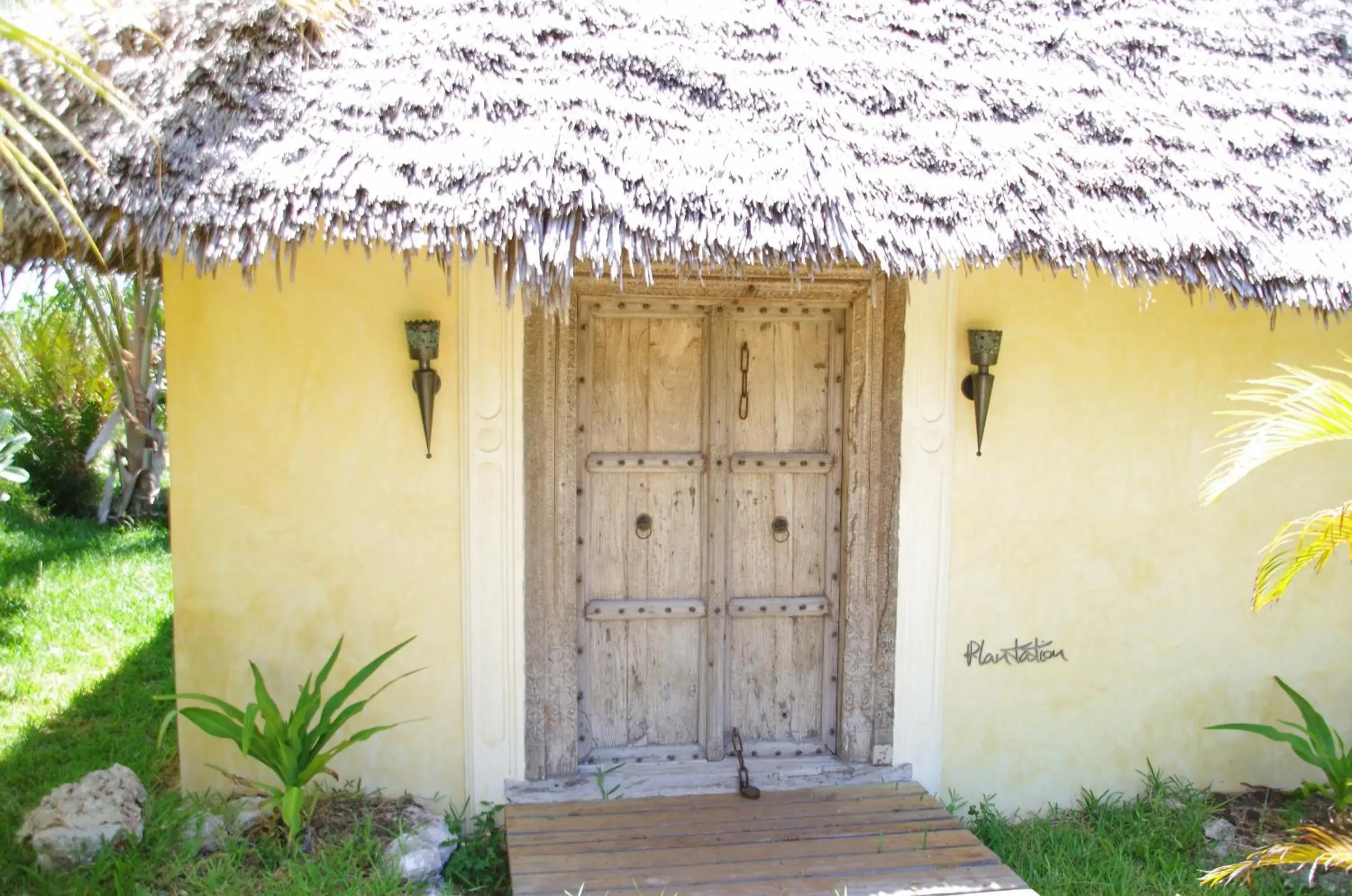 Plantation in Qambani Luxury Resort Plantation in Qambani Luxury Resort