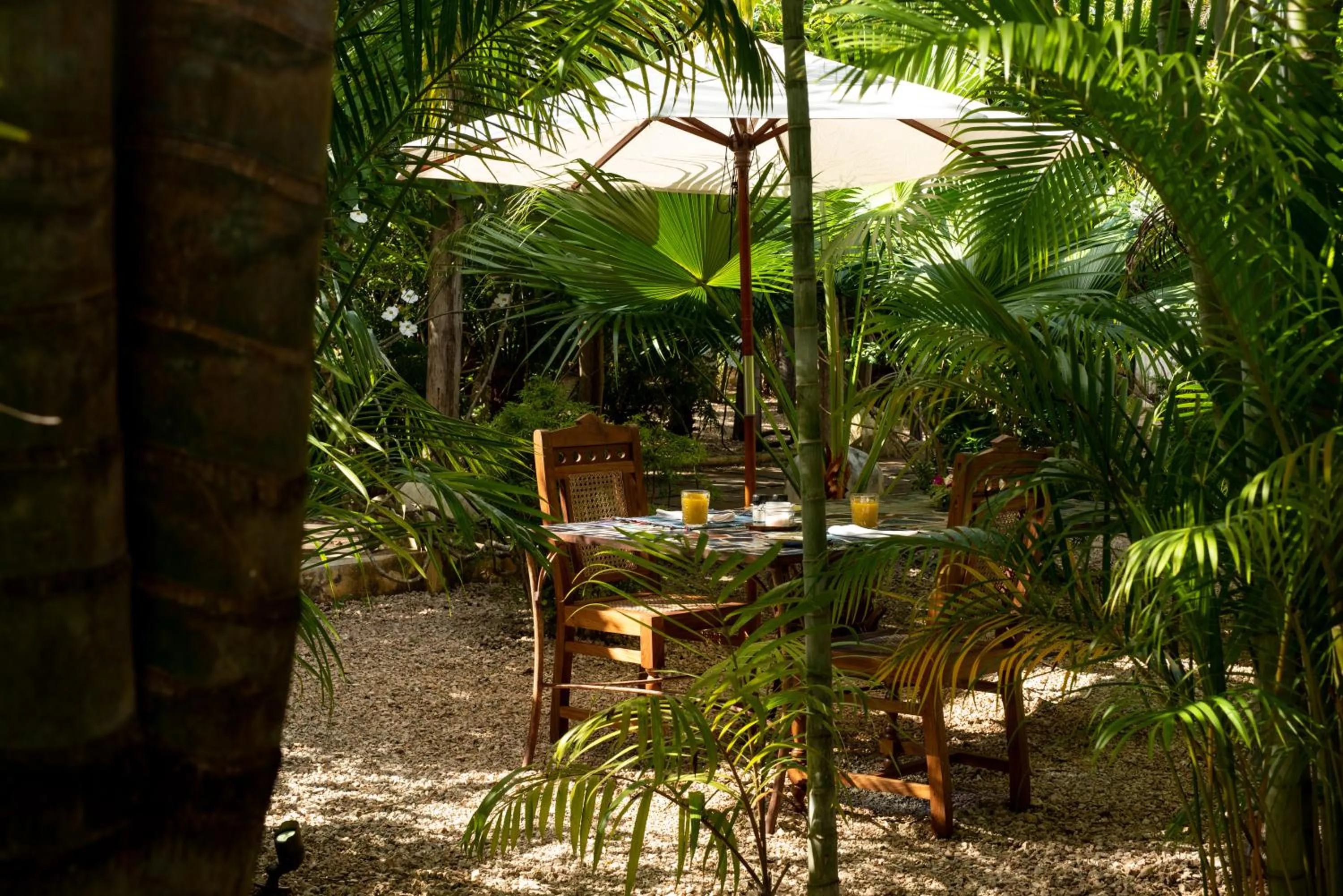 Garden in Qambani Luxury Resort