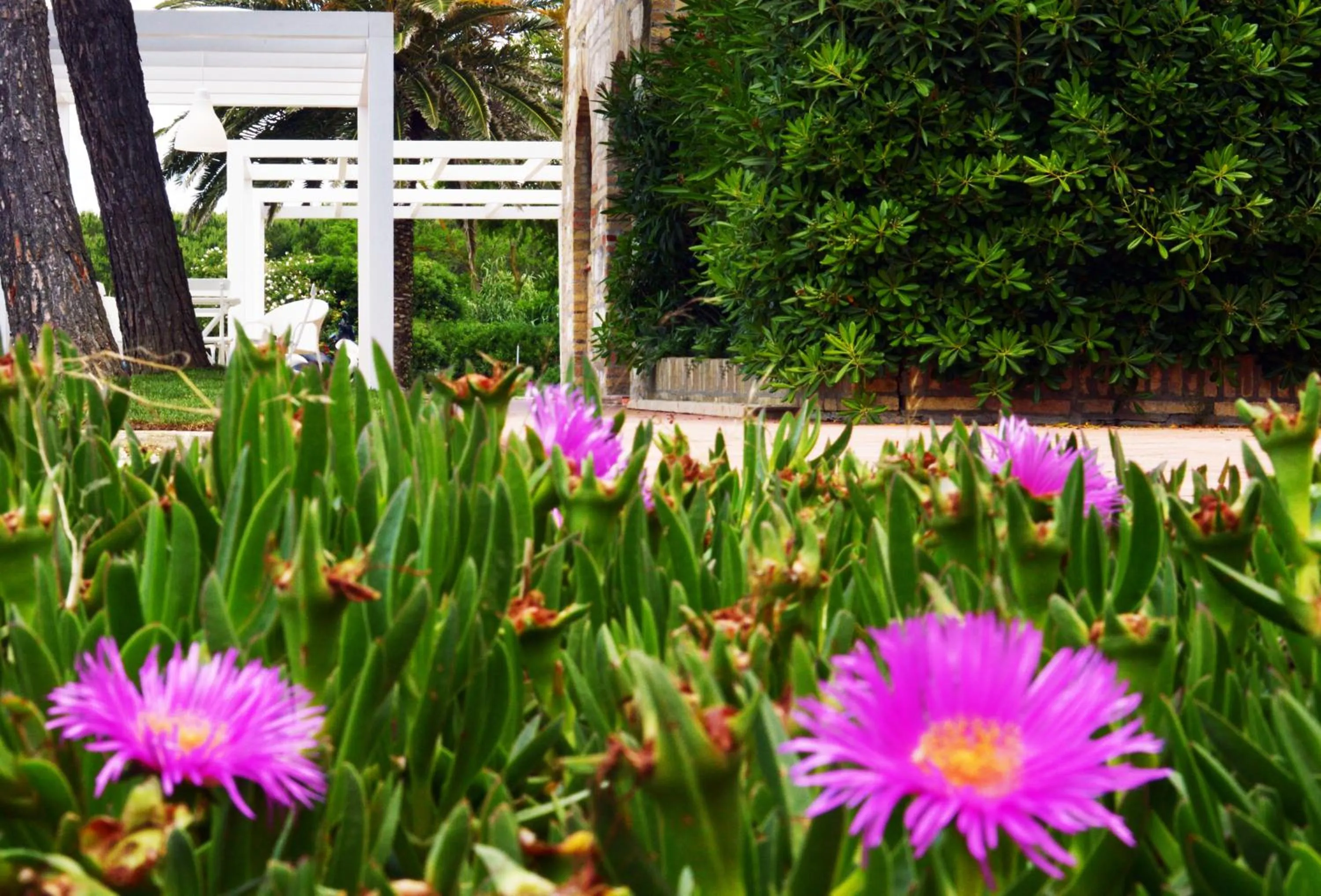 Garden view in Lido Azzurro