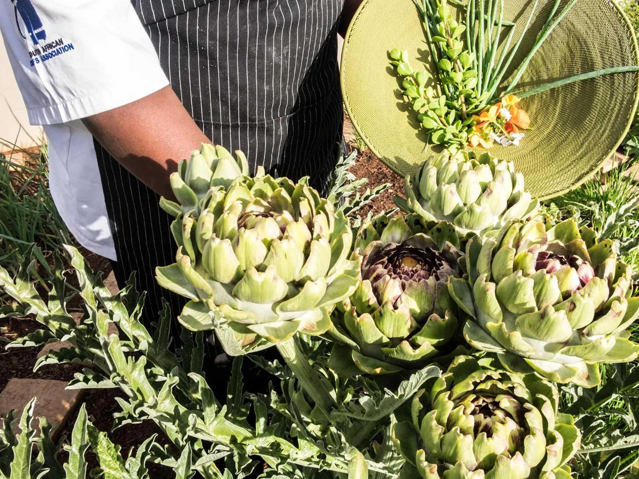 Staff in Kimberley Anne Hotel