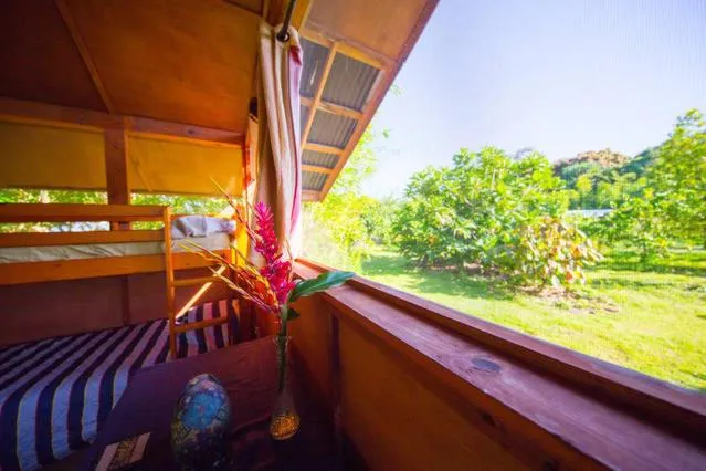 Garden view in Kirpal Meditation and Ecological Center