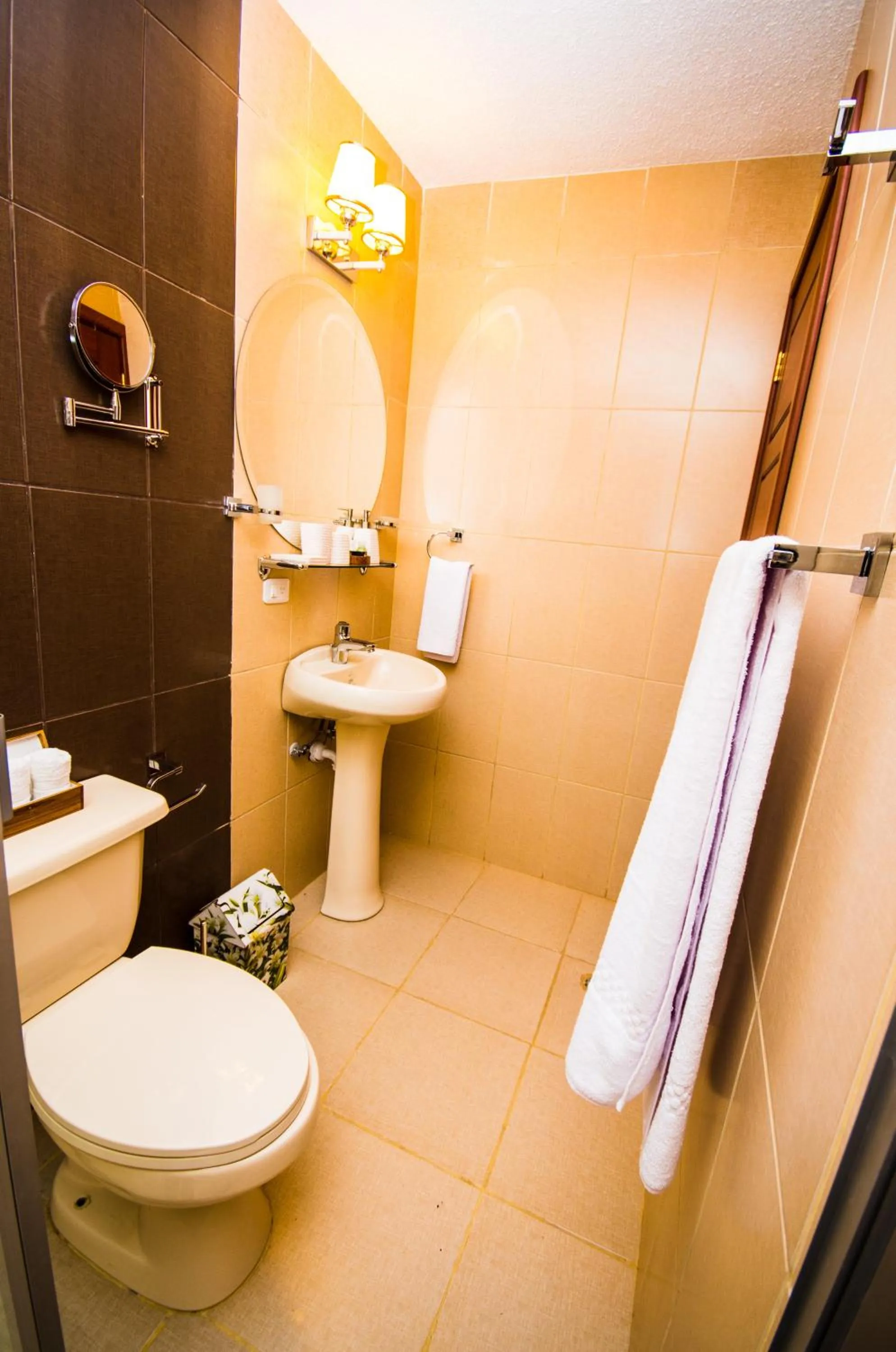 Toilet in Hotel + Arte