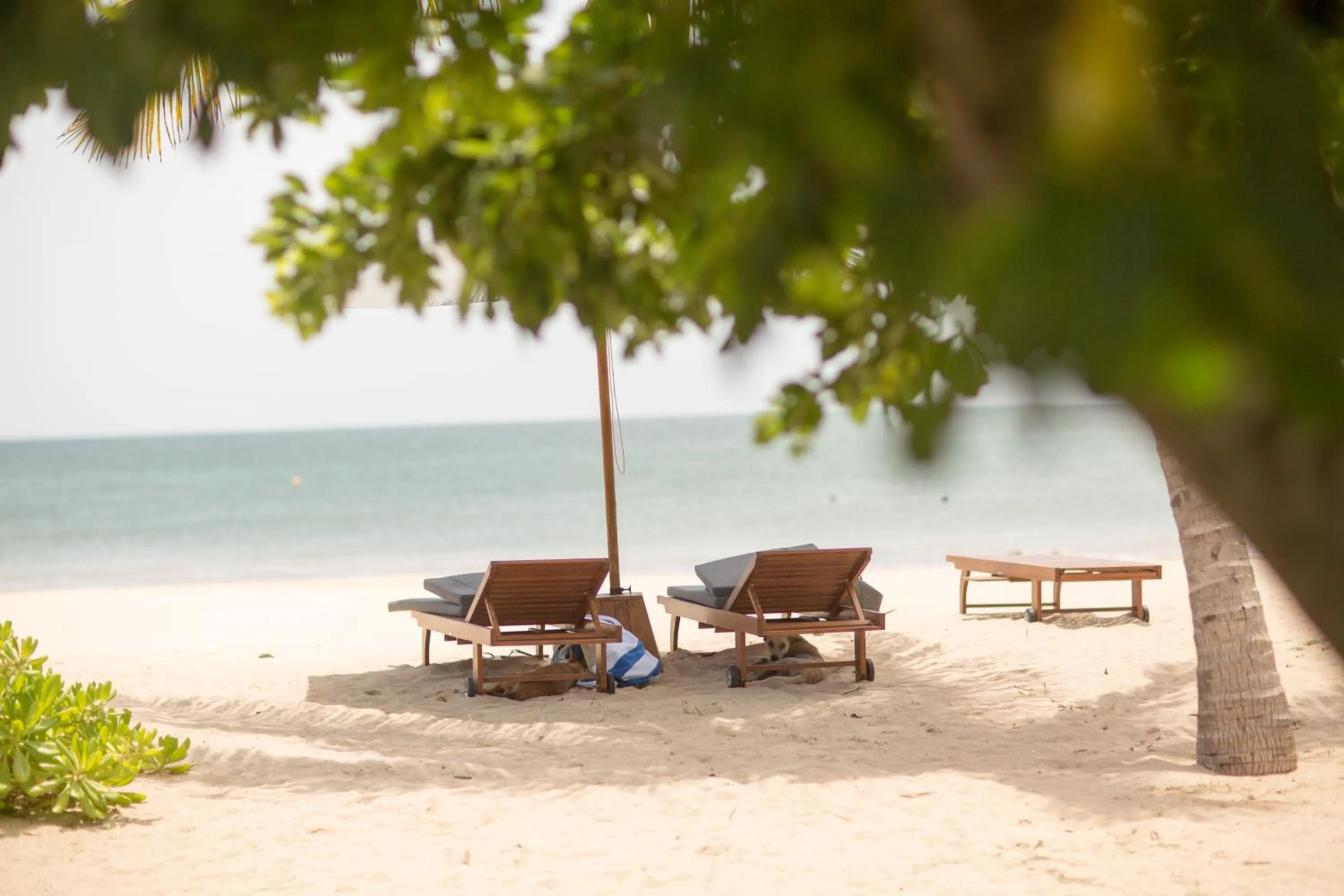 Beach in Anantaya Resort and Spa Passikudah