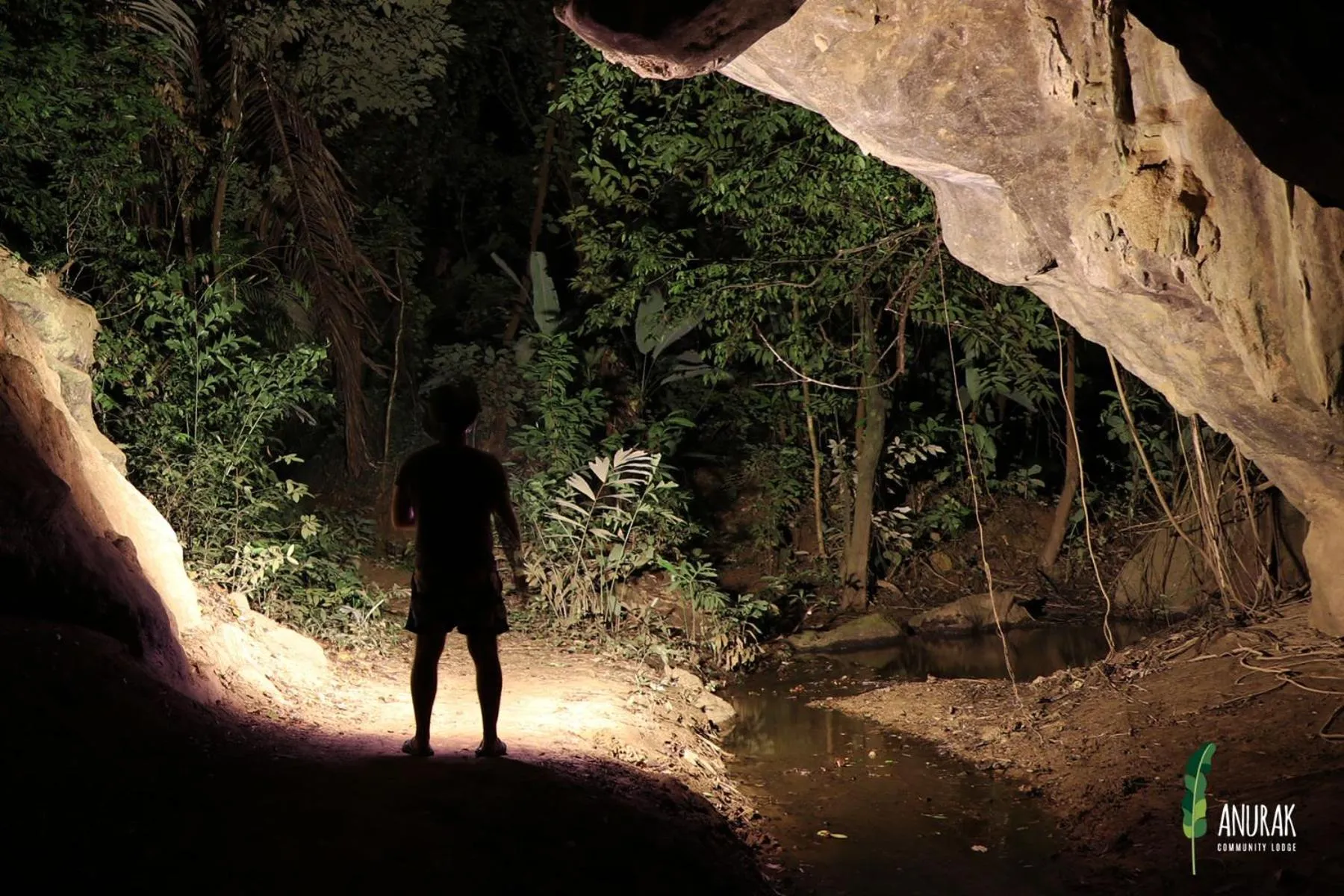 Natural landscape in Anurak Community Lodge - SHA Plus