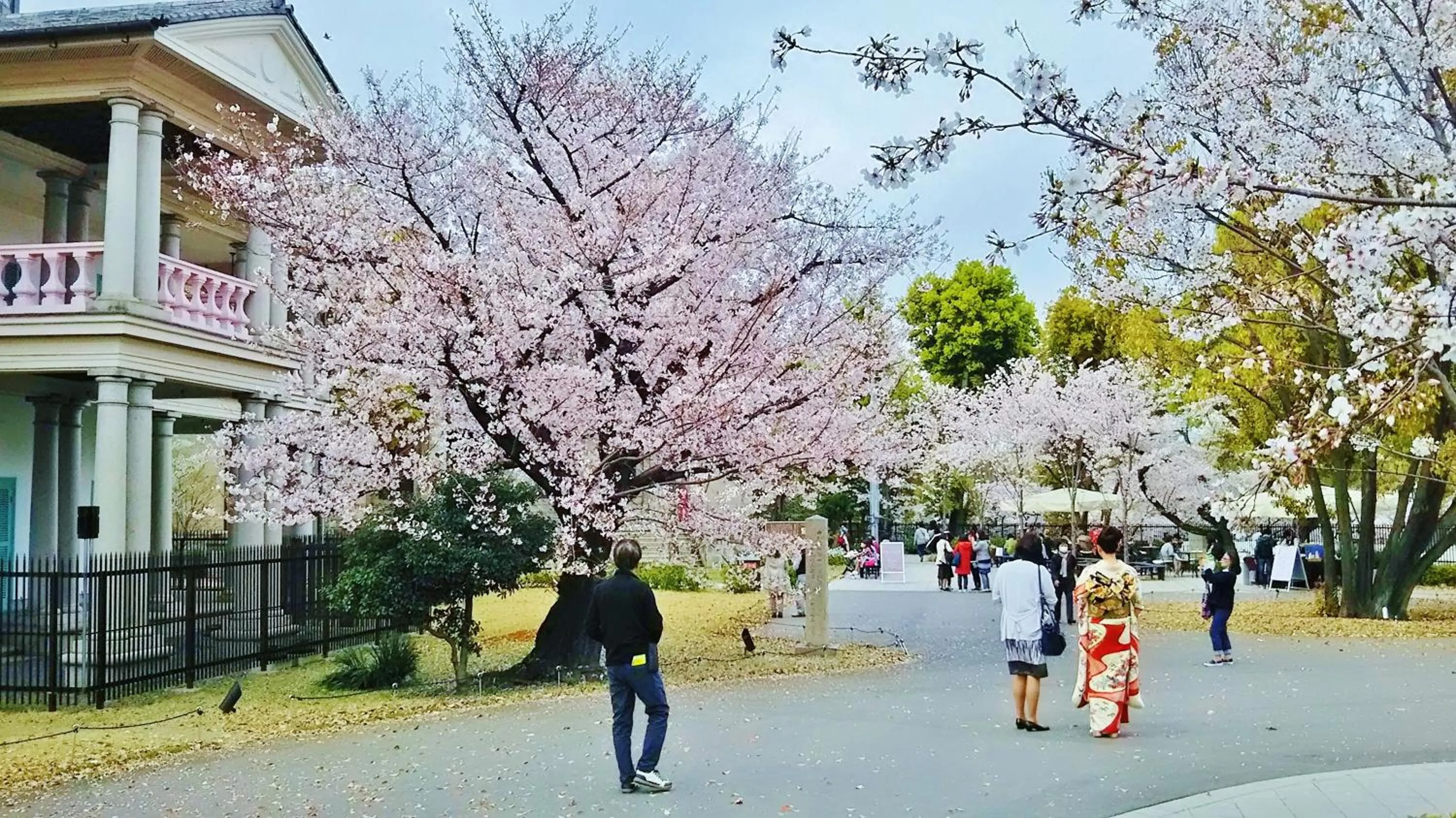 Nearby landmark in noah grande