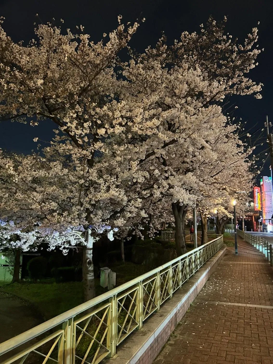 Nearby landmark in noah grande