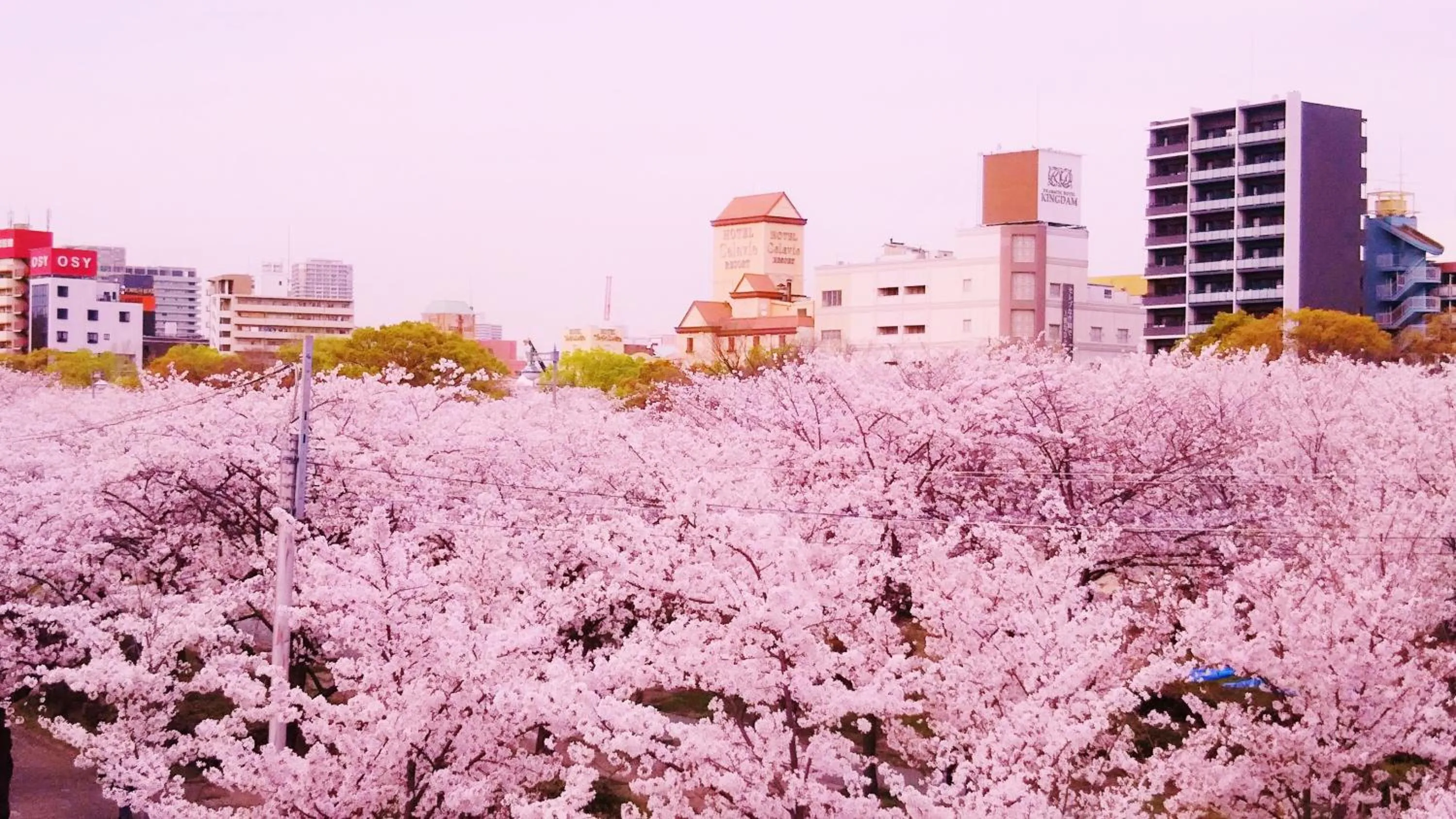 Nearby landmark in noah grande