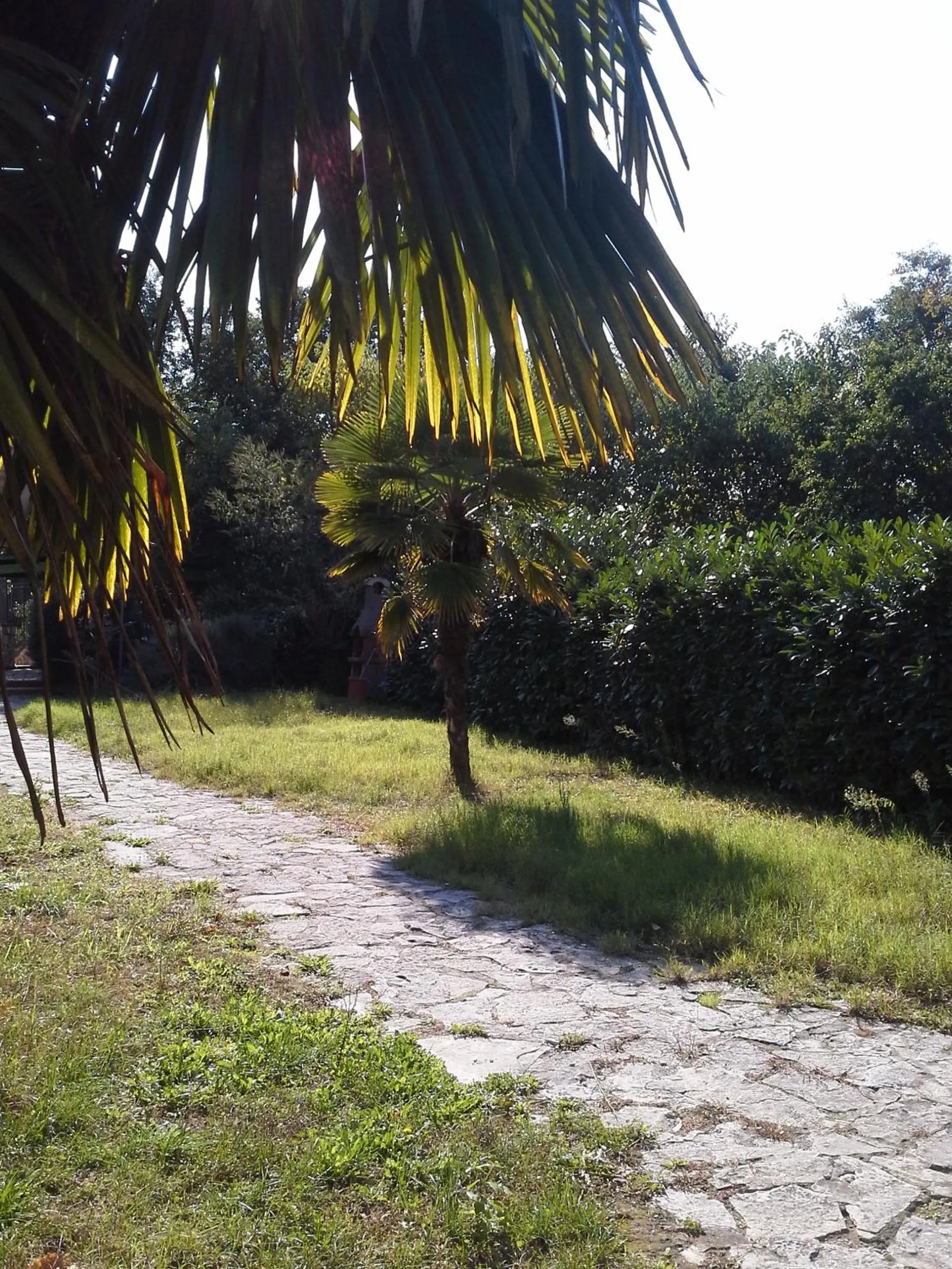 Garden view in I Giardini di Capodimonte 2