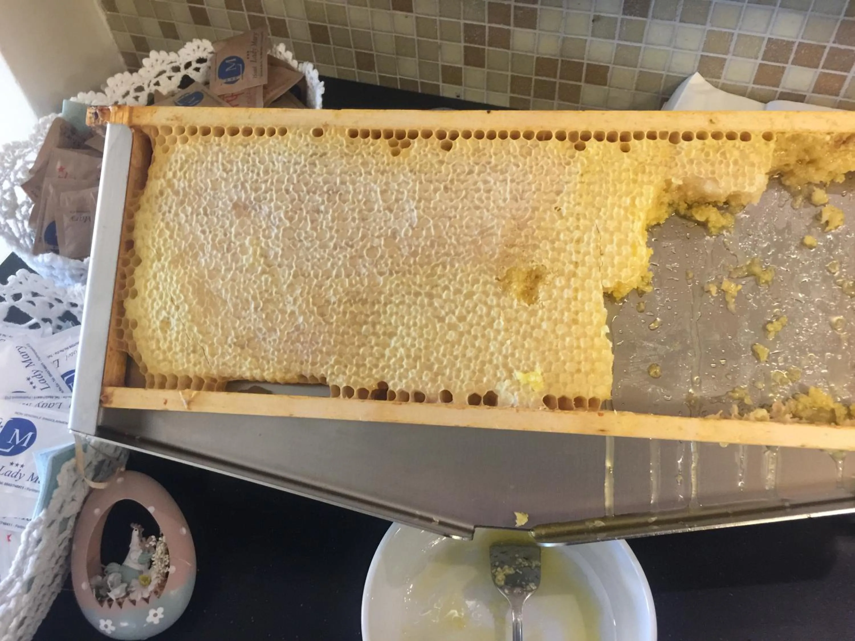 Day in Hotel Lady Mary