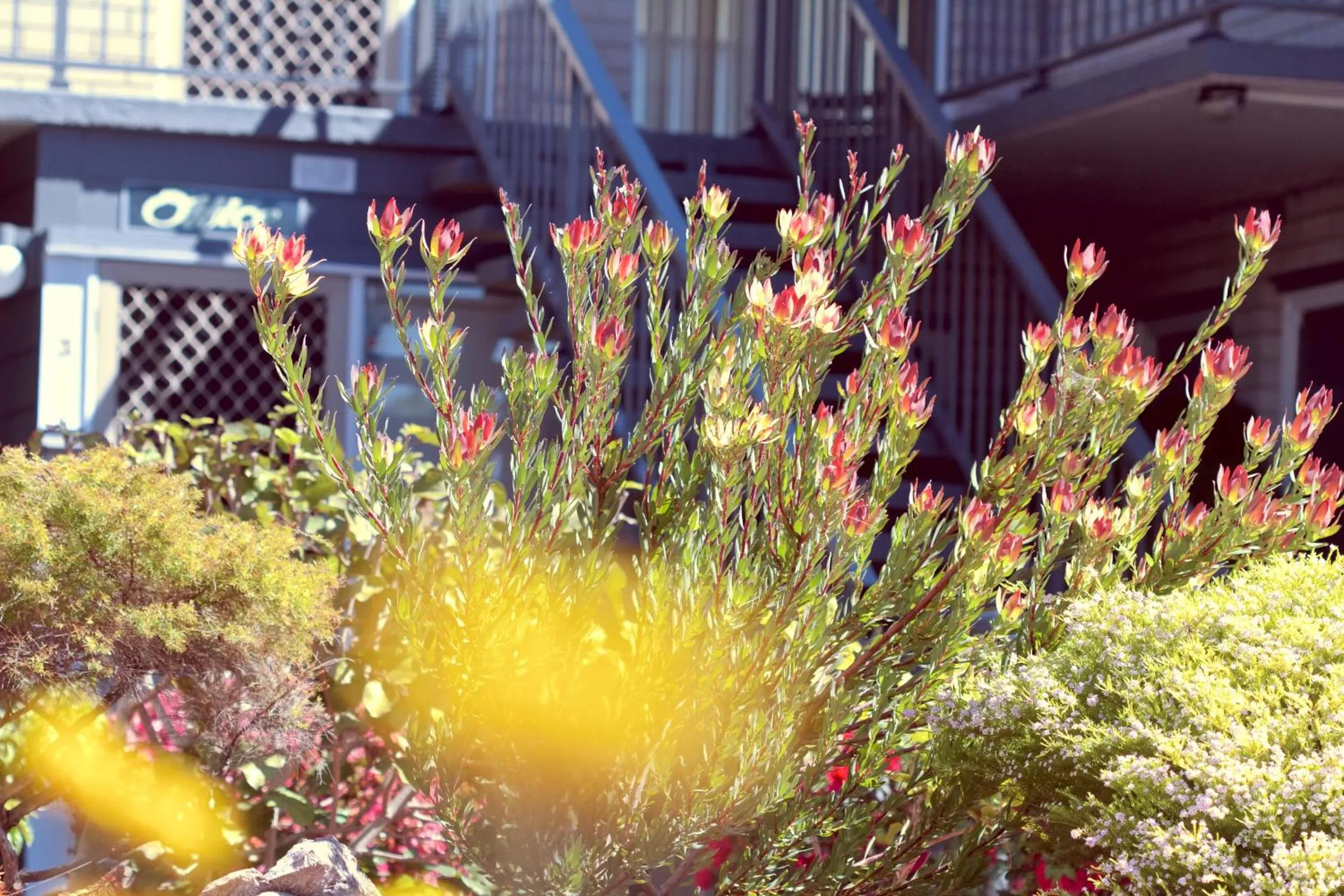 Facade/entrance in The Sands Holiday Apartments