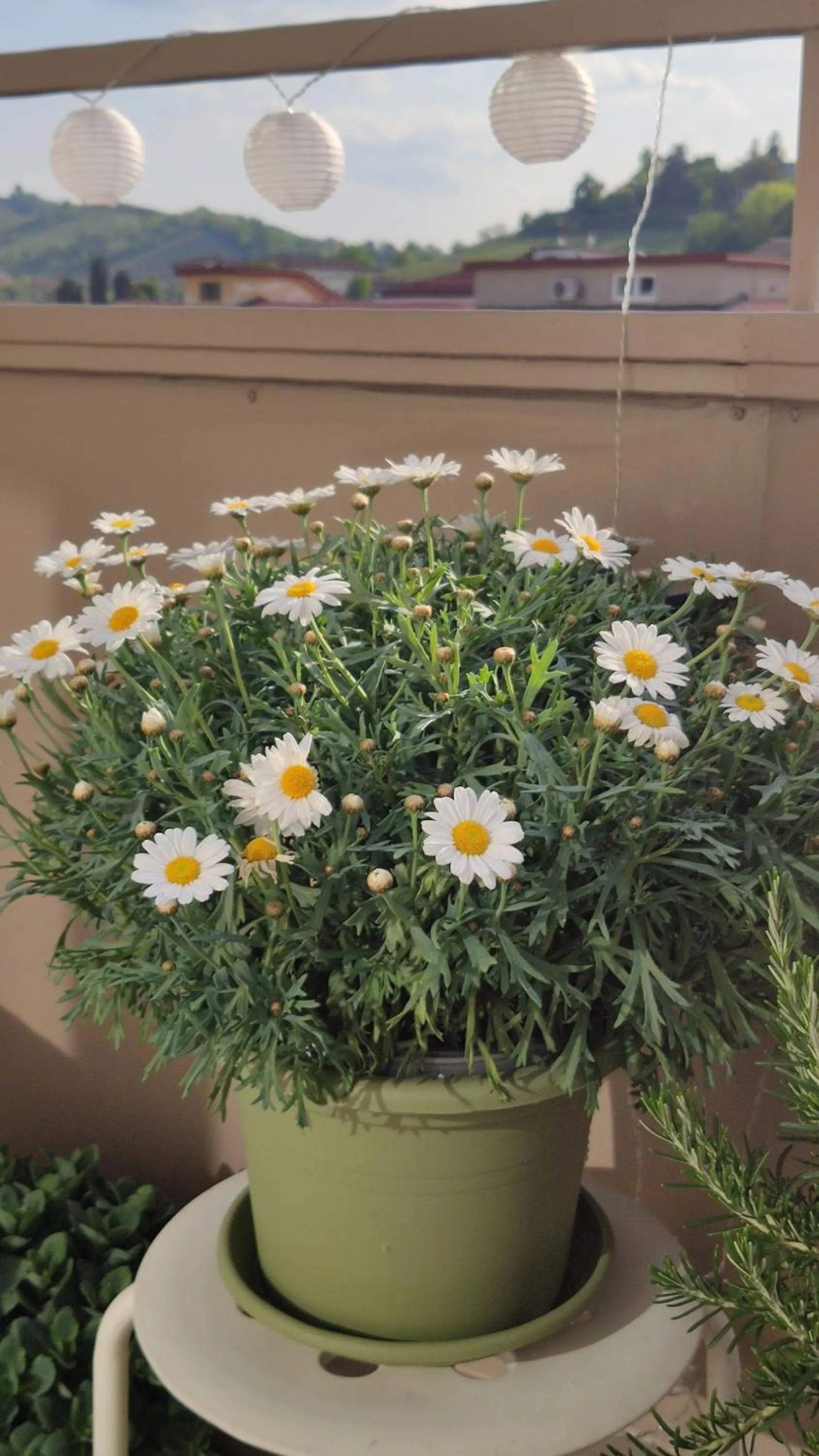 Balcony/Terrace in B&B Le Albarelle