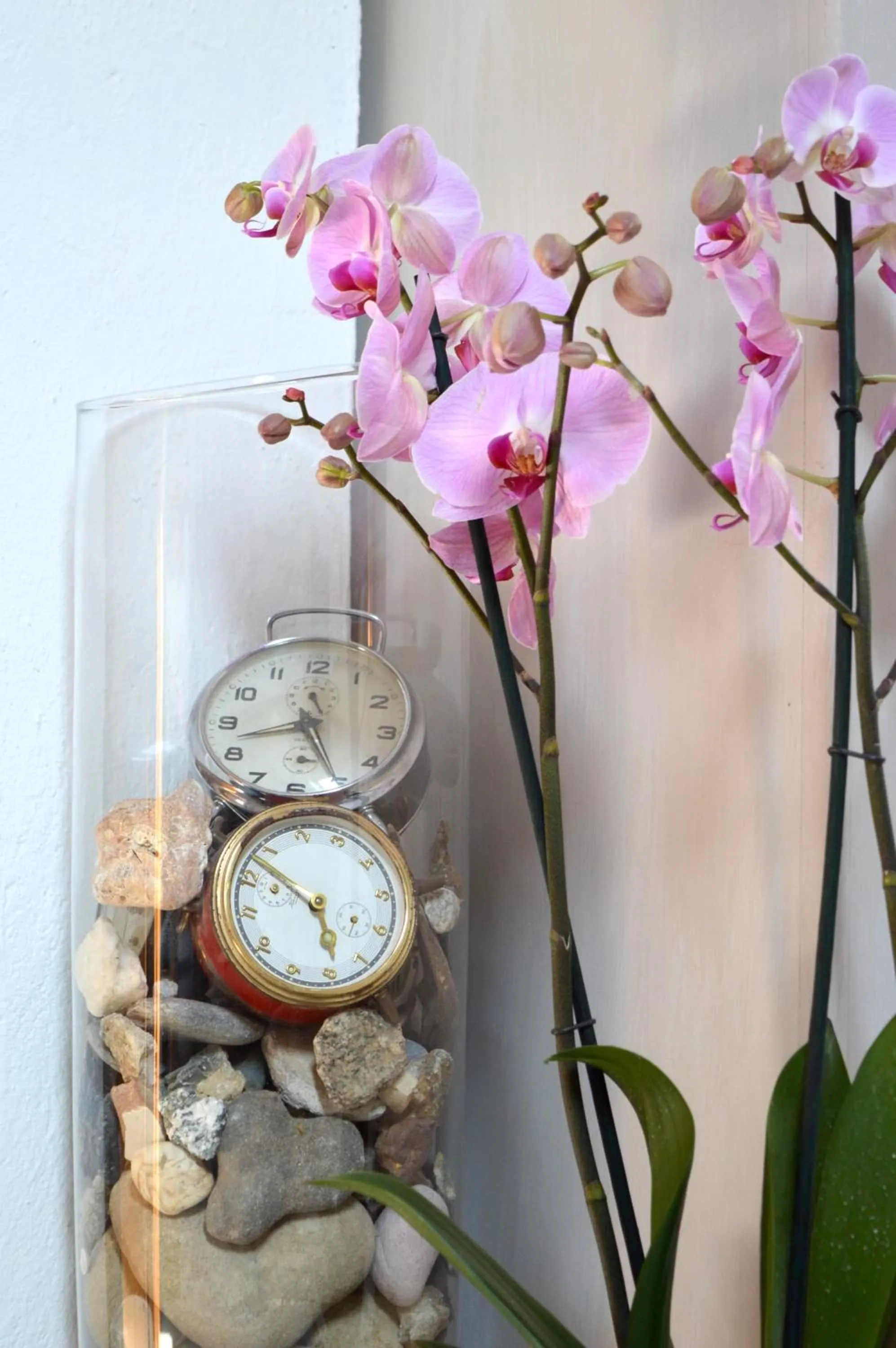 Decorative detail in Il Nottetempo