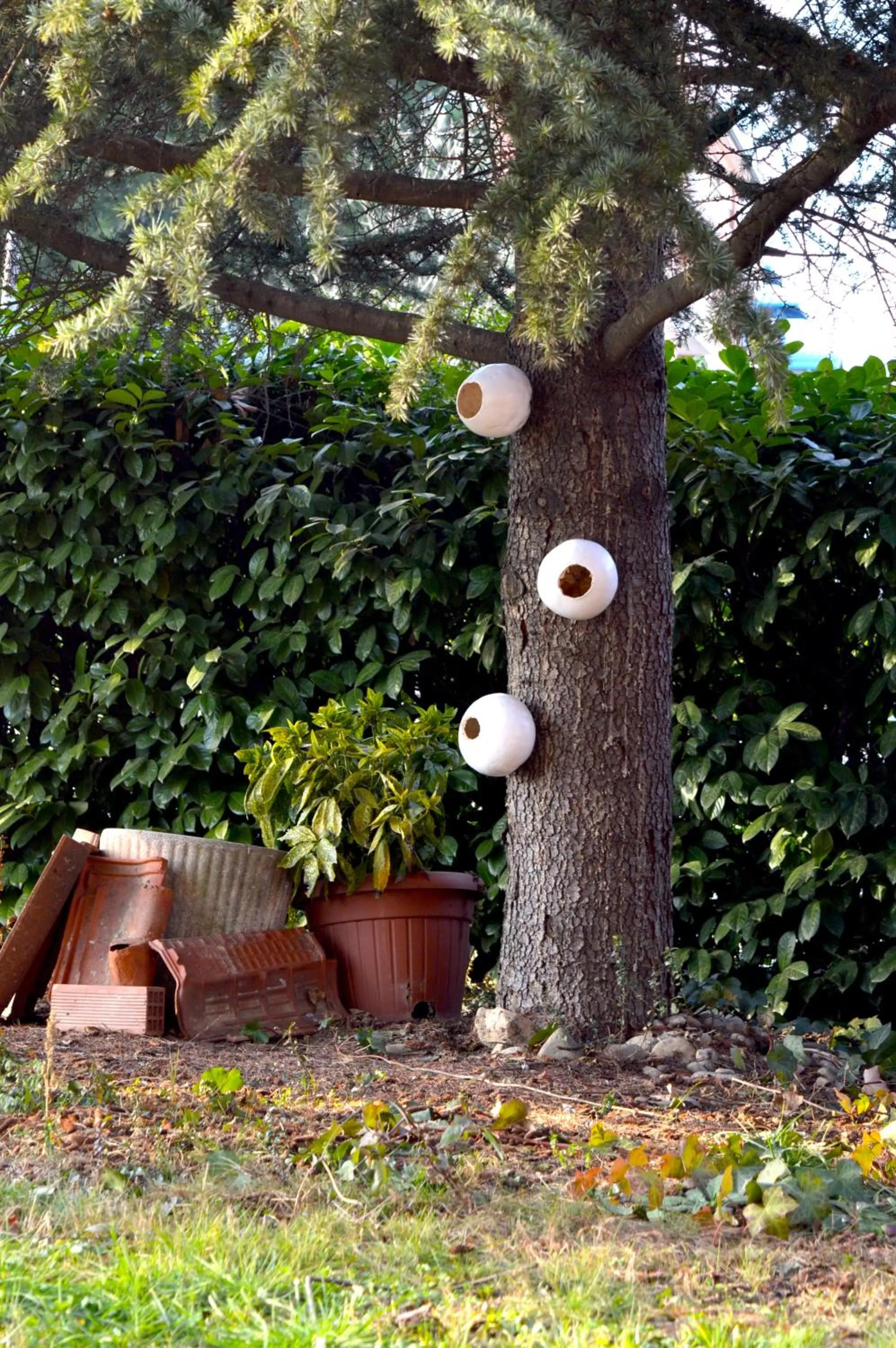 Garden in Il Nottetempo