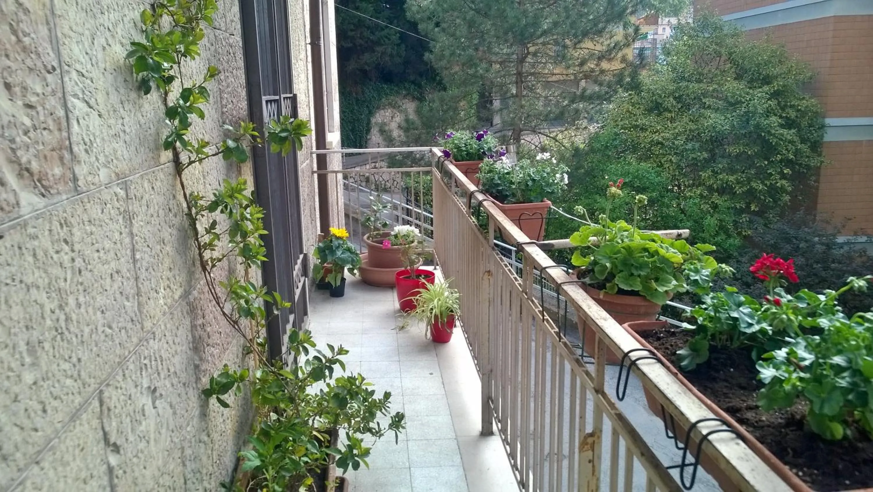 Balcony/Terrace in Da Claudia