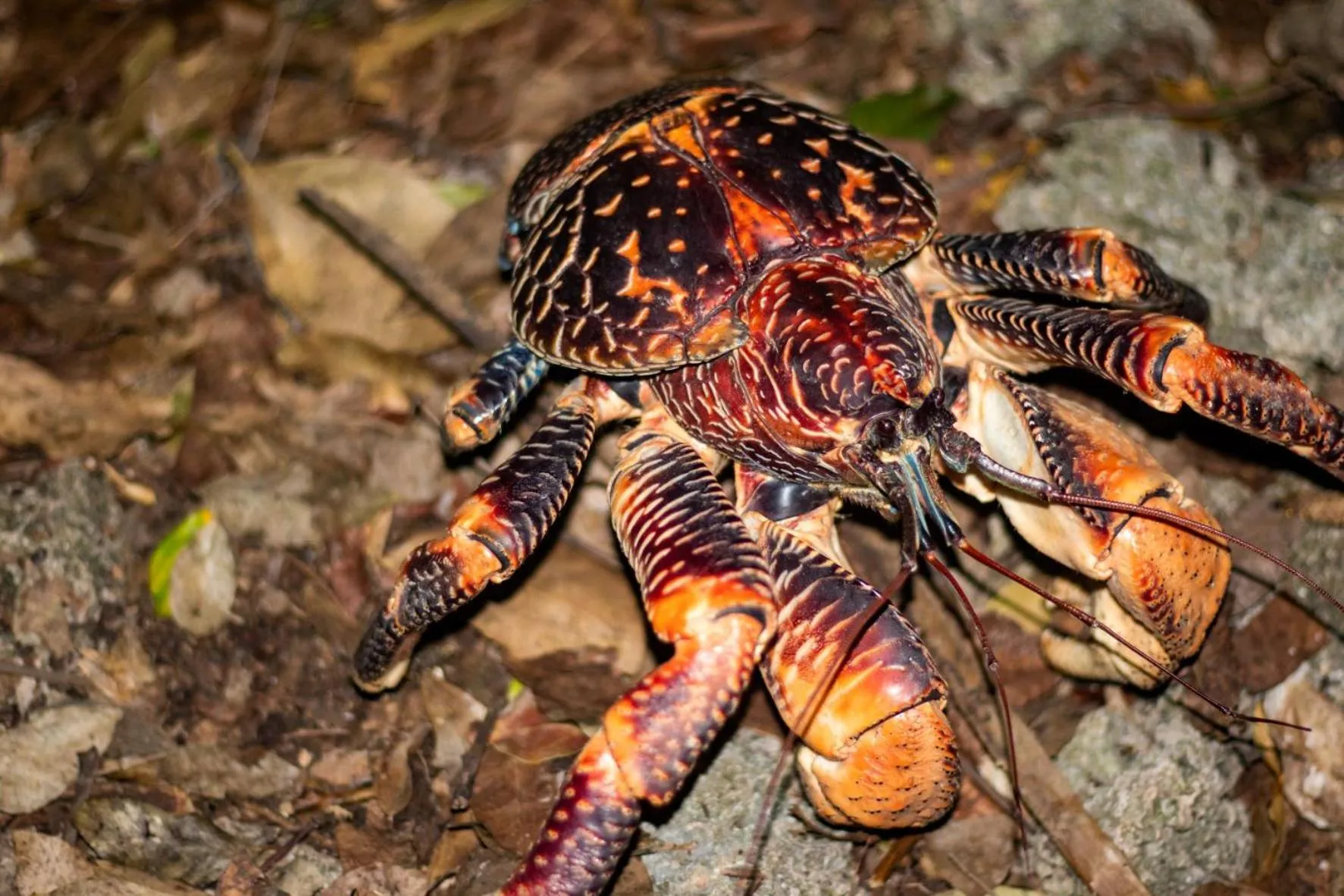Activities in Chumbe Island Coral Park