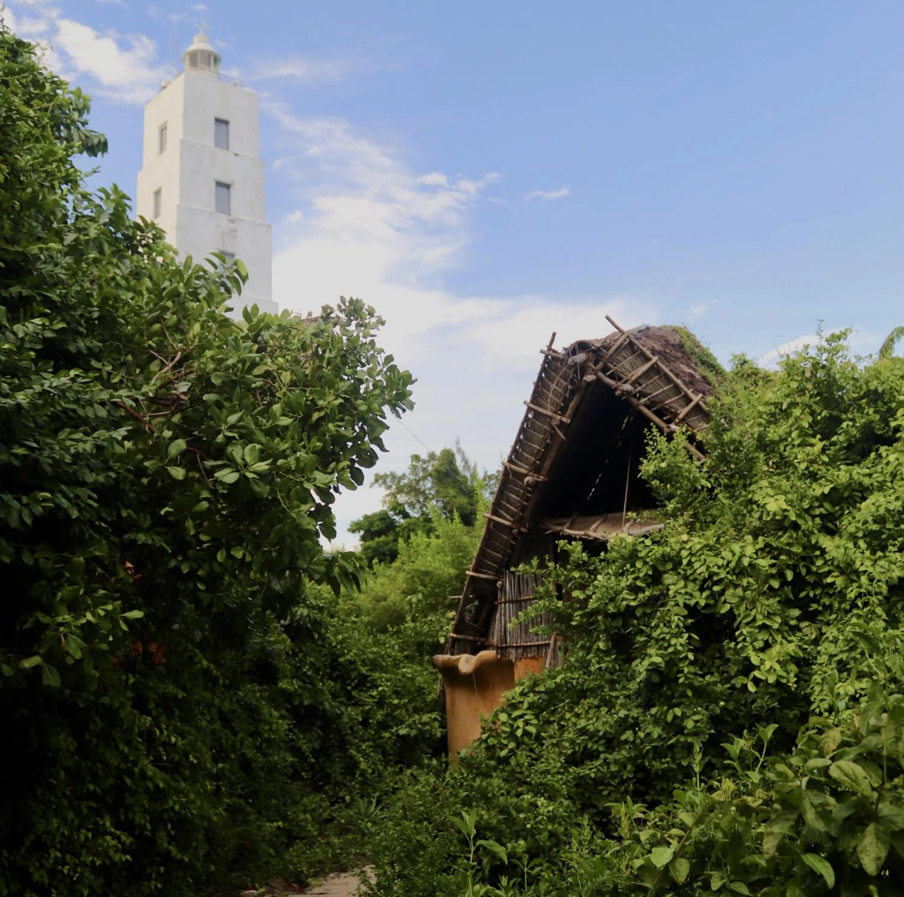 Garden in Chumbe Island Coral Park