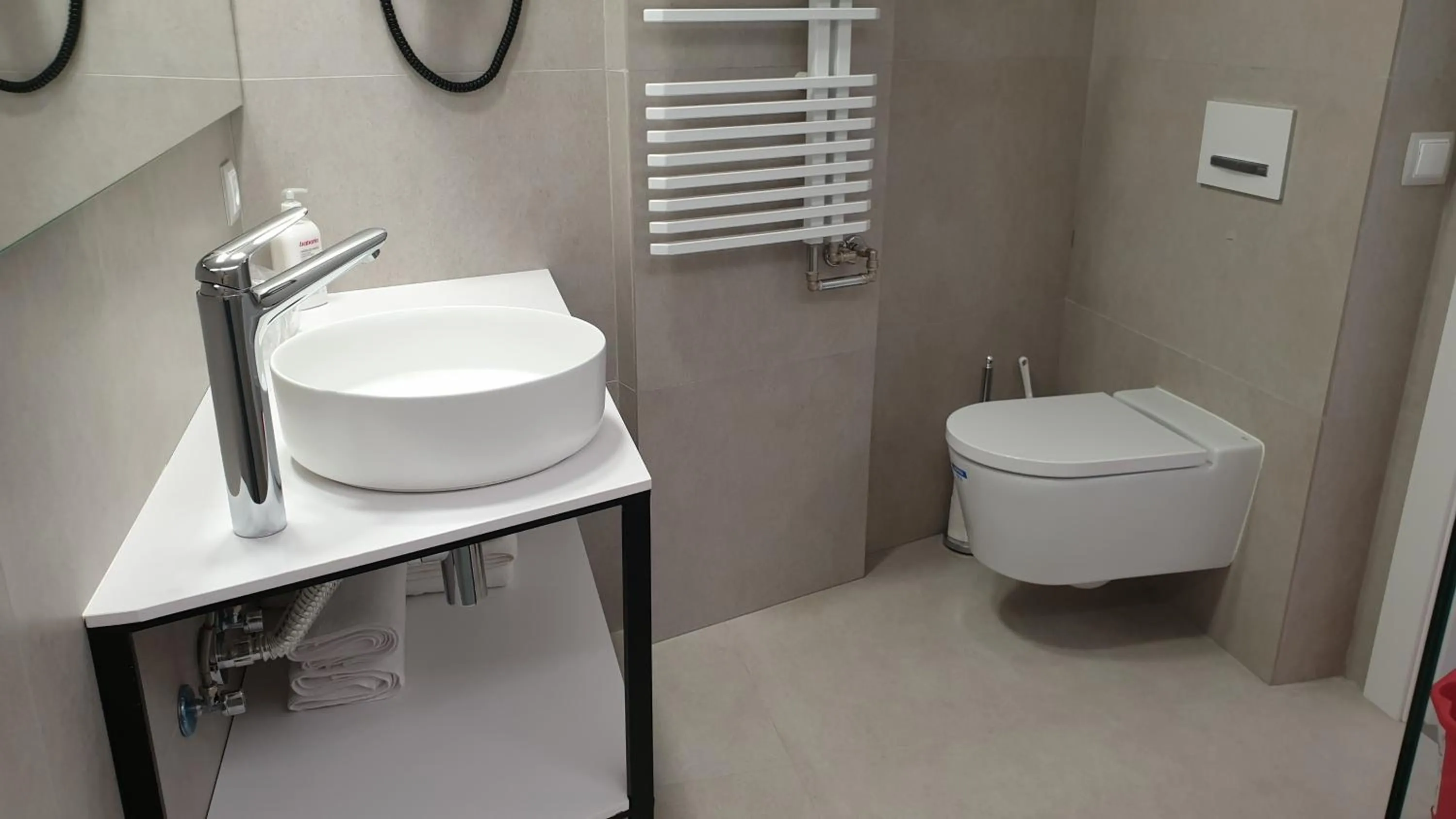 Toilet in Apartaments y Habitacions Entre Volcans