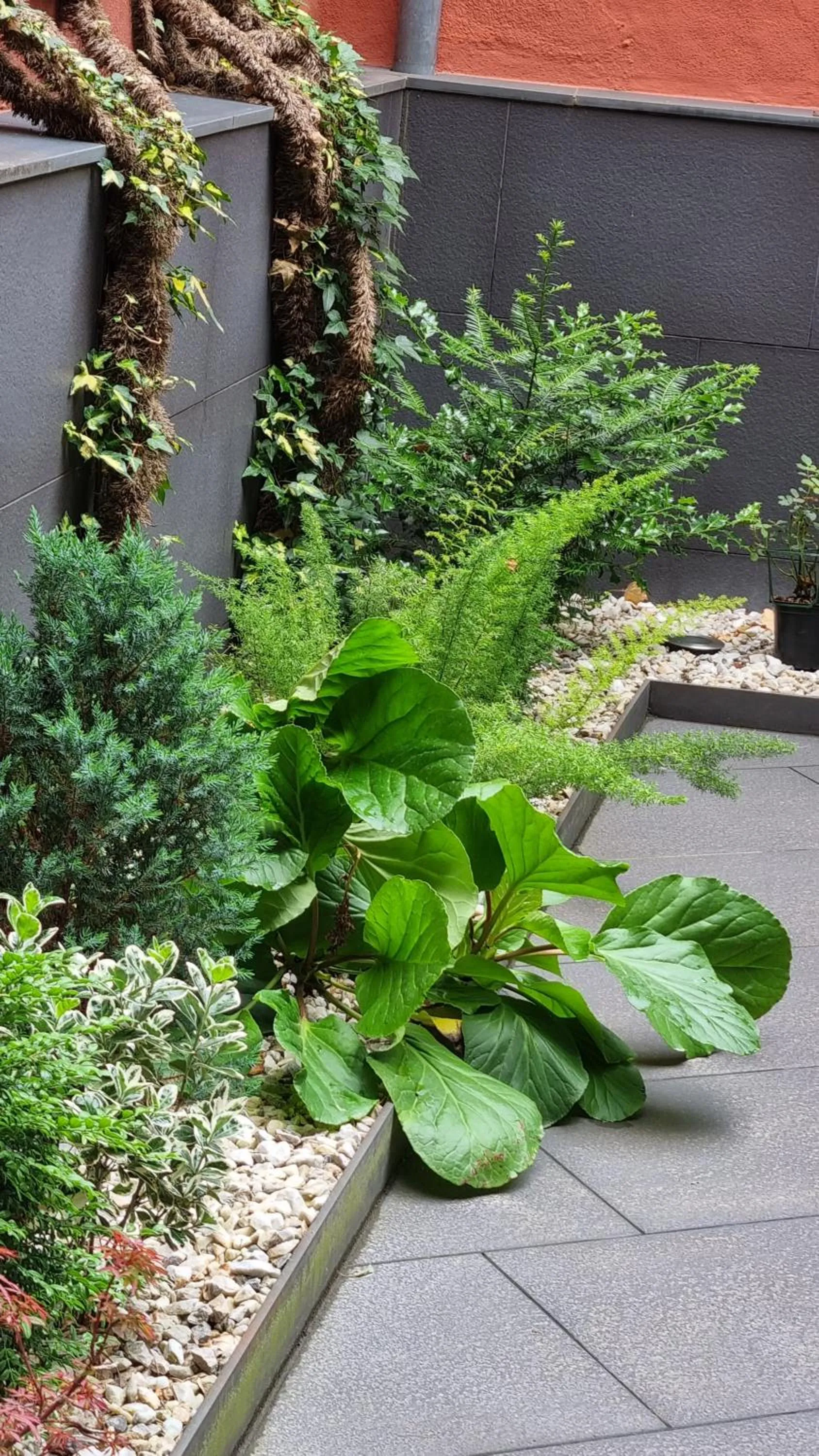 Garden in Apartaments y Habitacions Entre Volcans